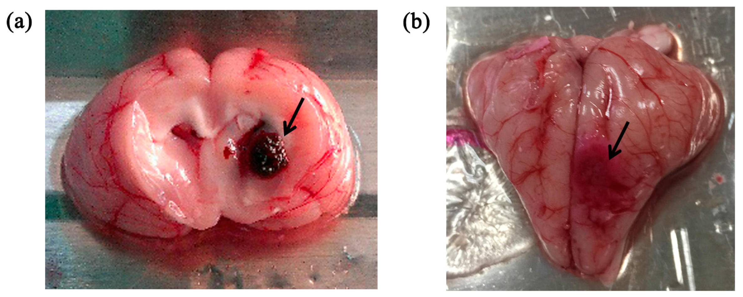 Sensors 16 01942 g003