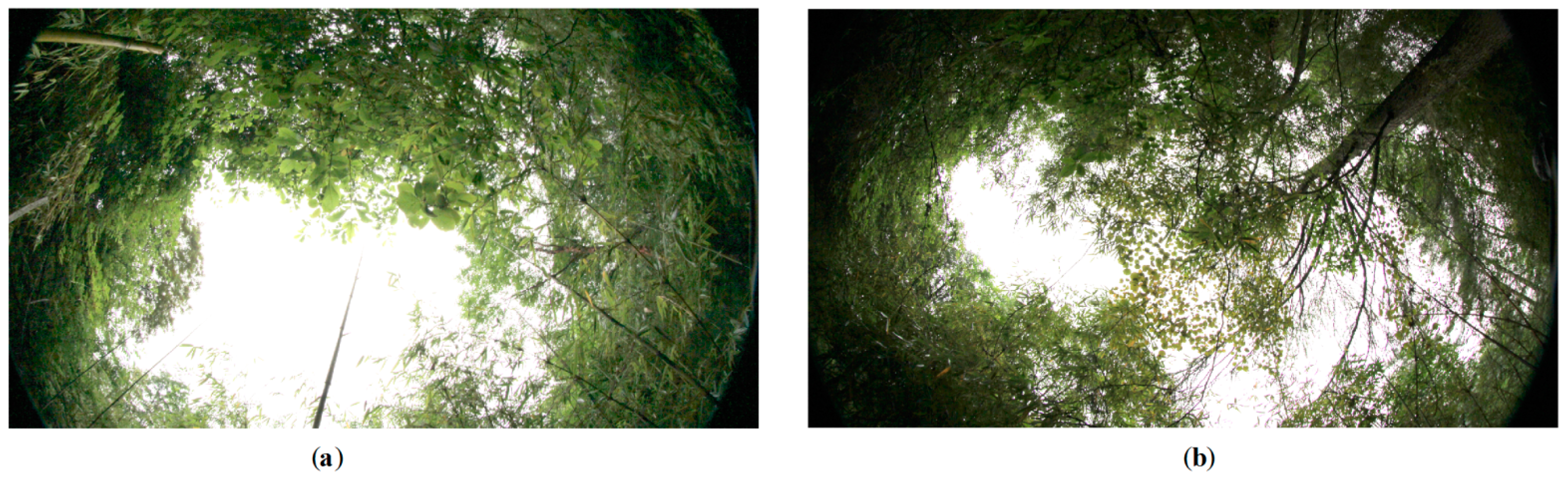 Sensors 16 01957 g013