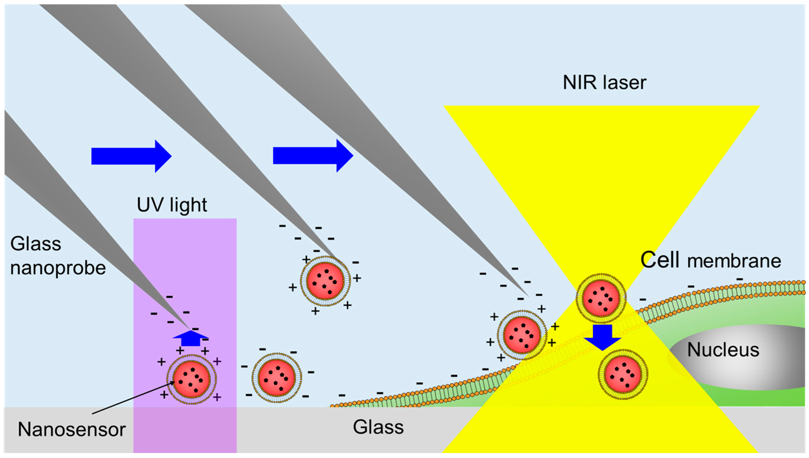 Sensors 16 02041 g001