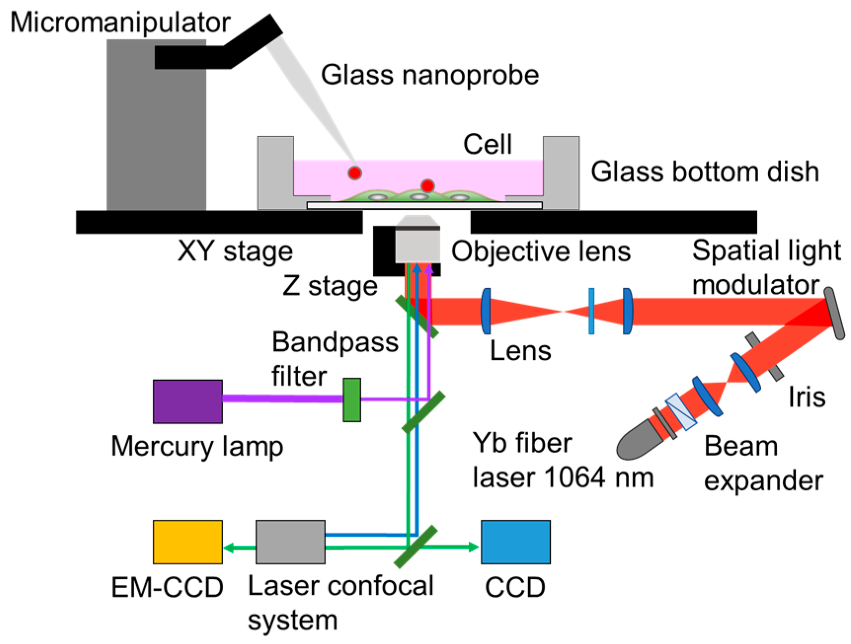 Sensors 16 02041 g002