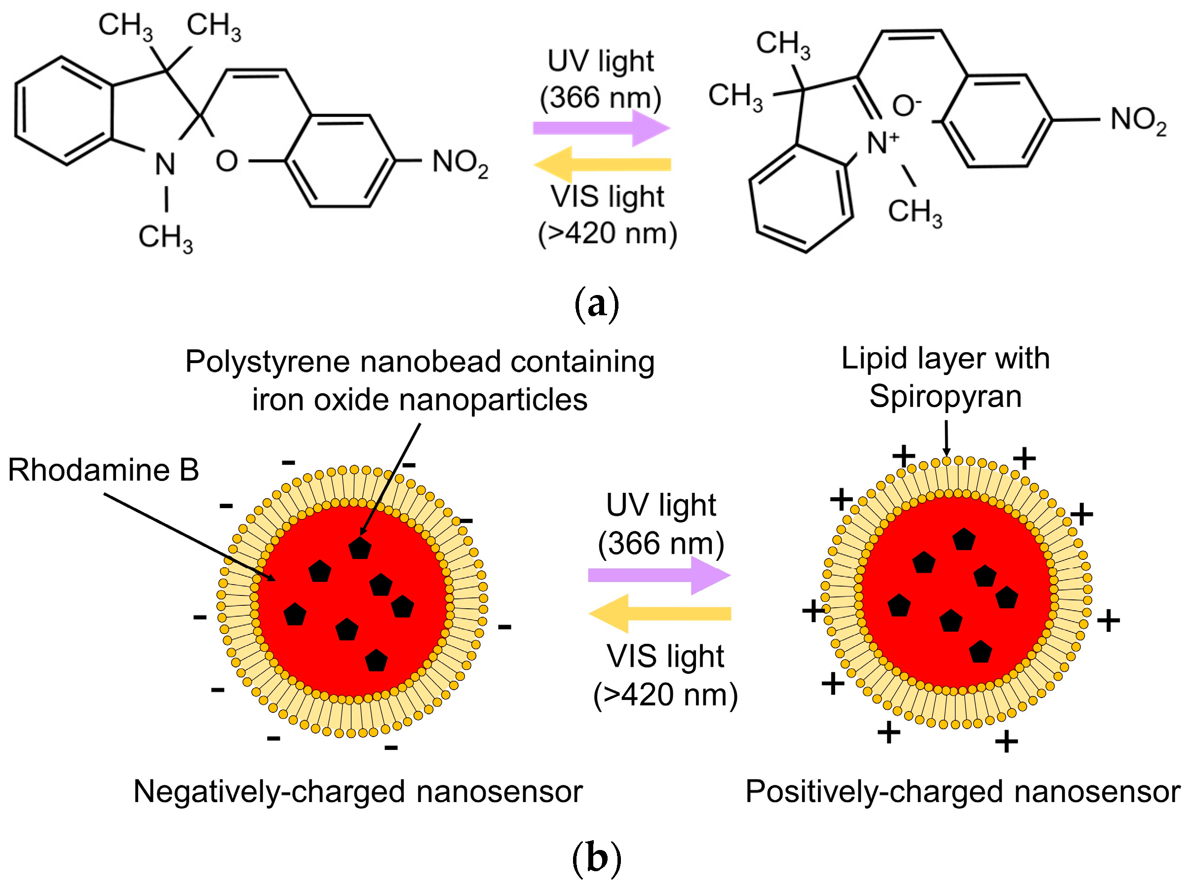 Sensors 16 02041 g003