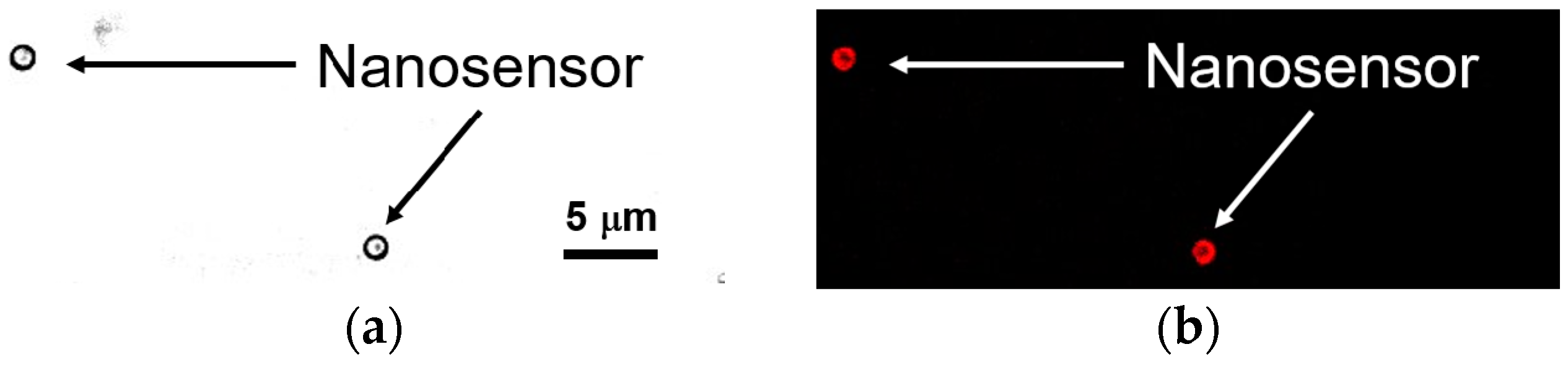 Sensors 16 02041 g005