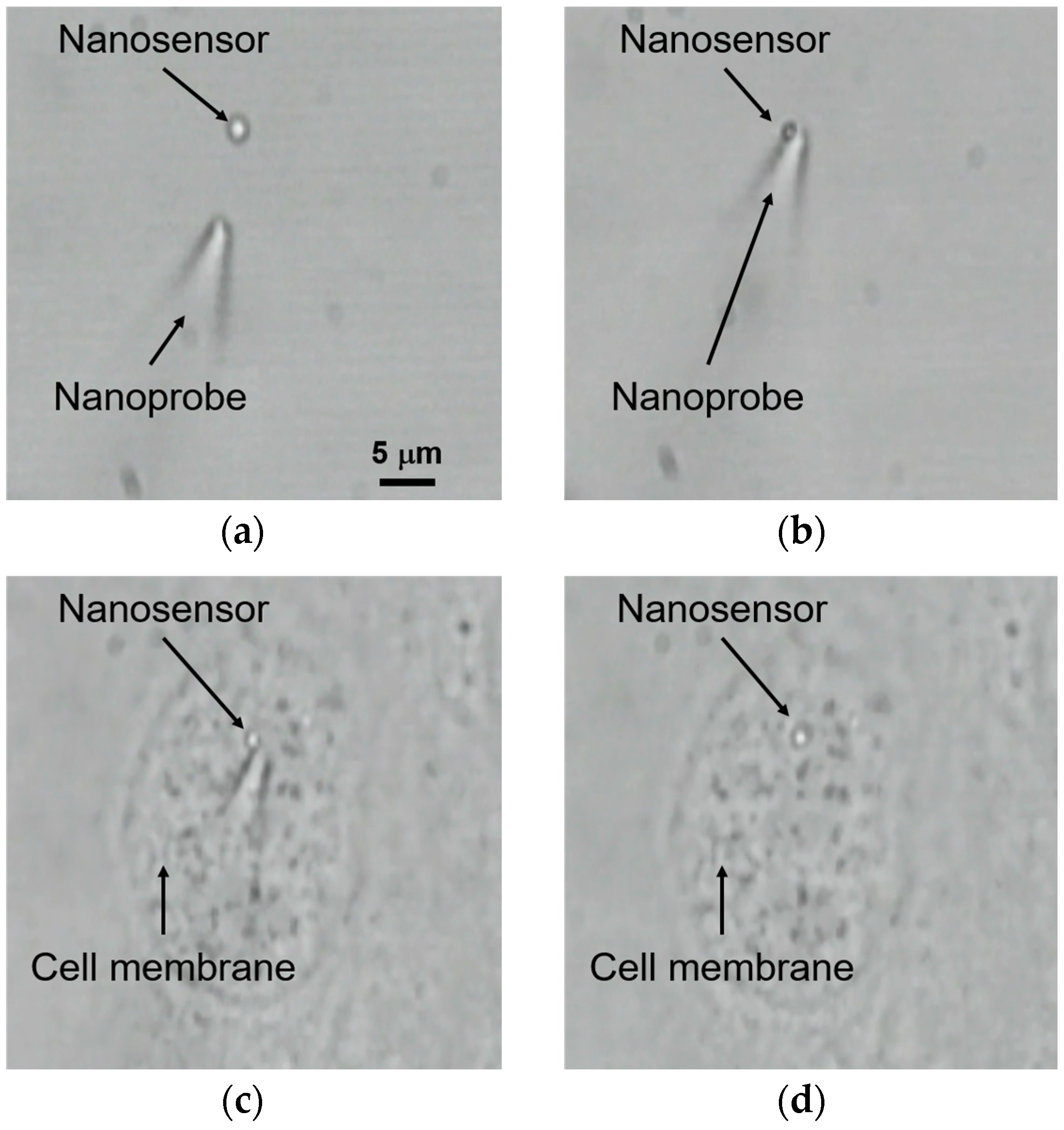 Sensors 16 02041 g007