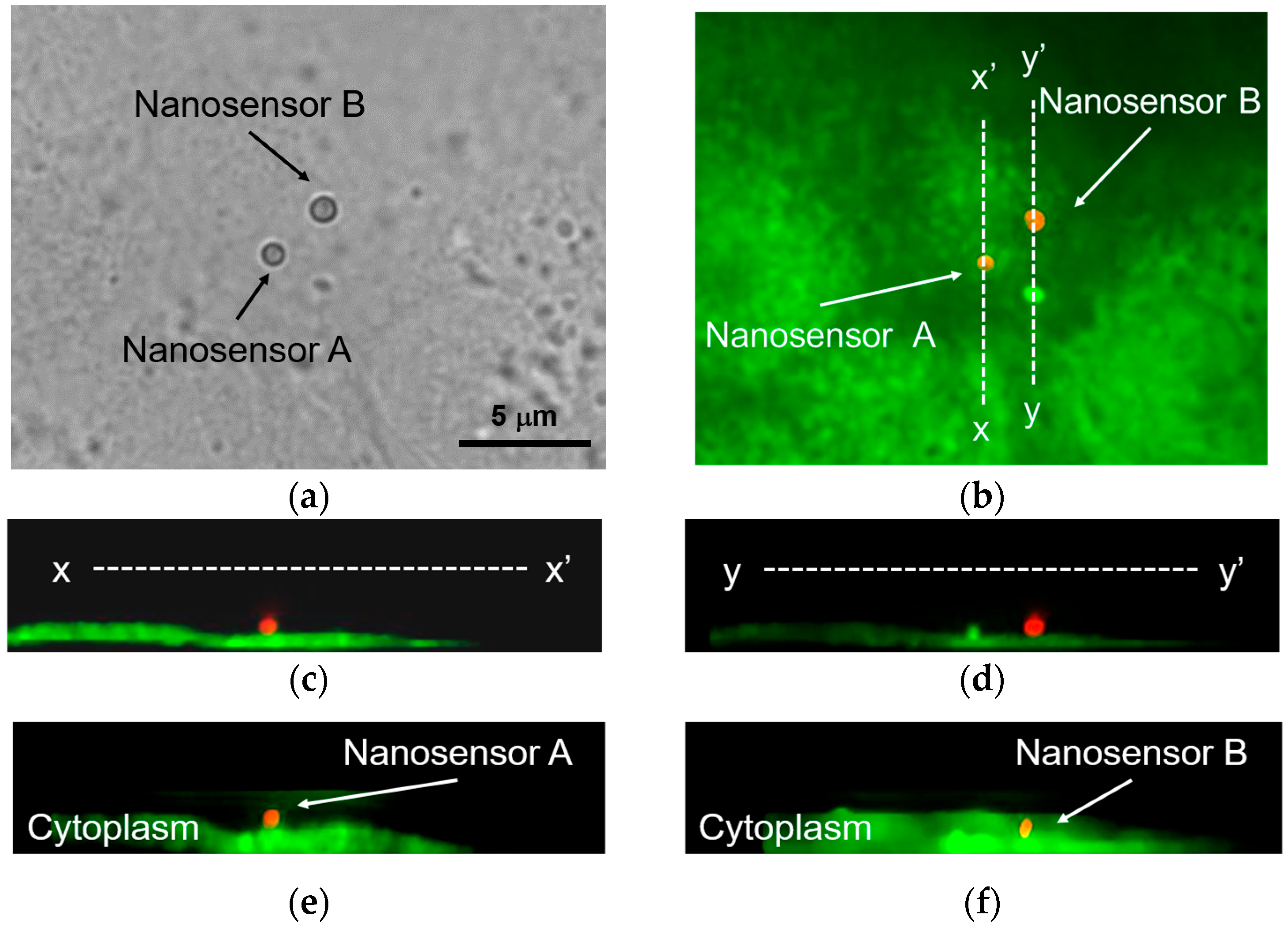 Sensors 16 02041 g008