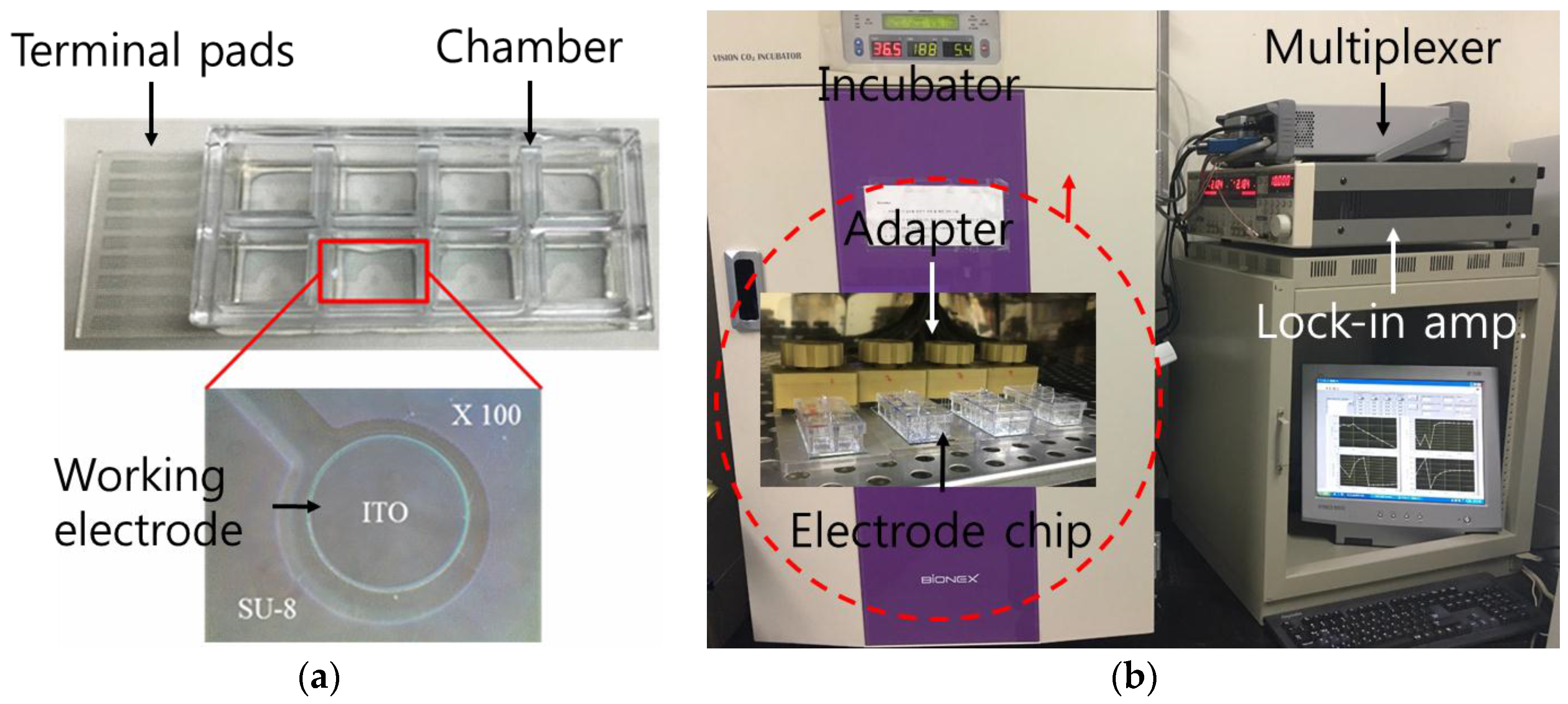 Sensors 16 02068 g001