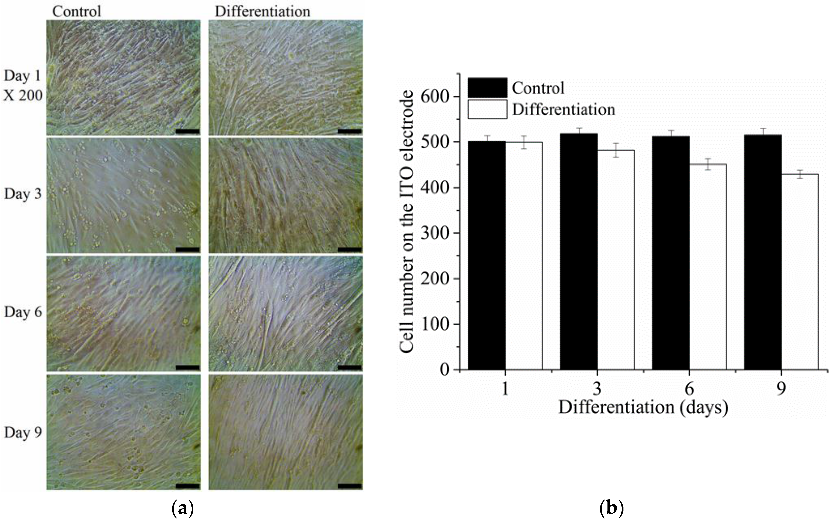 Sensors 16 02068 g003
