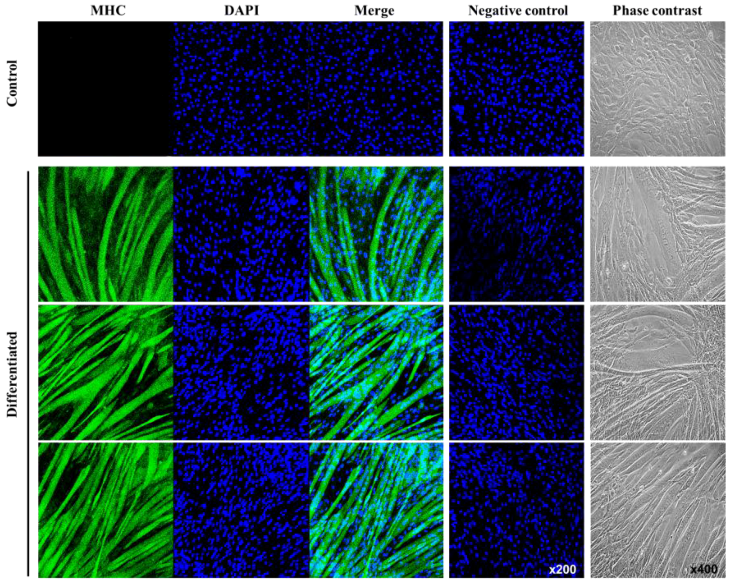 Sensors 16 02068 g005