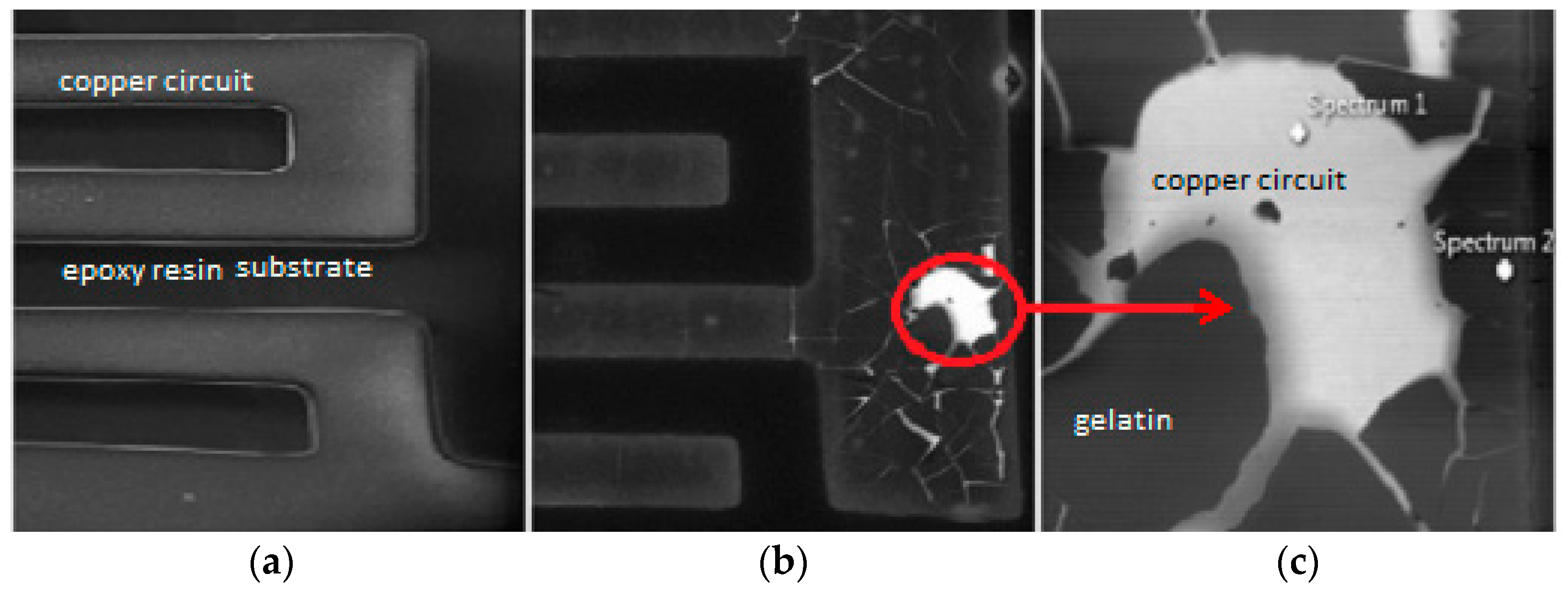 Sensors 16 02197 g007