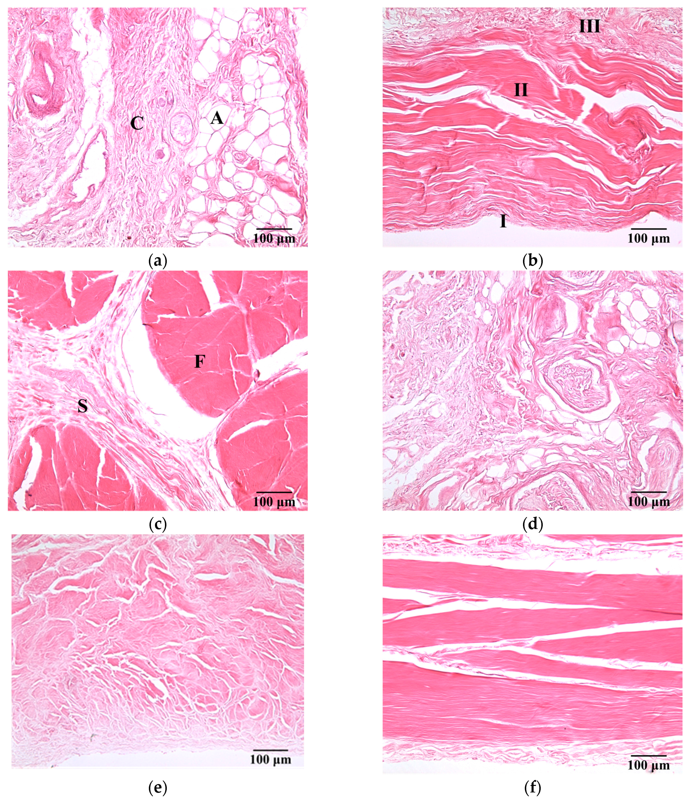 Sensors 17 00107 g003