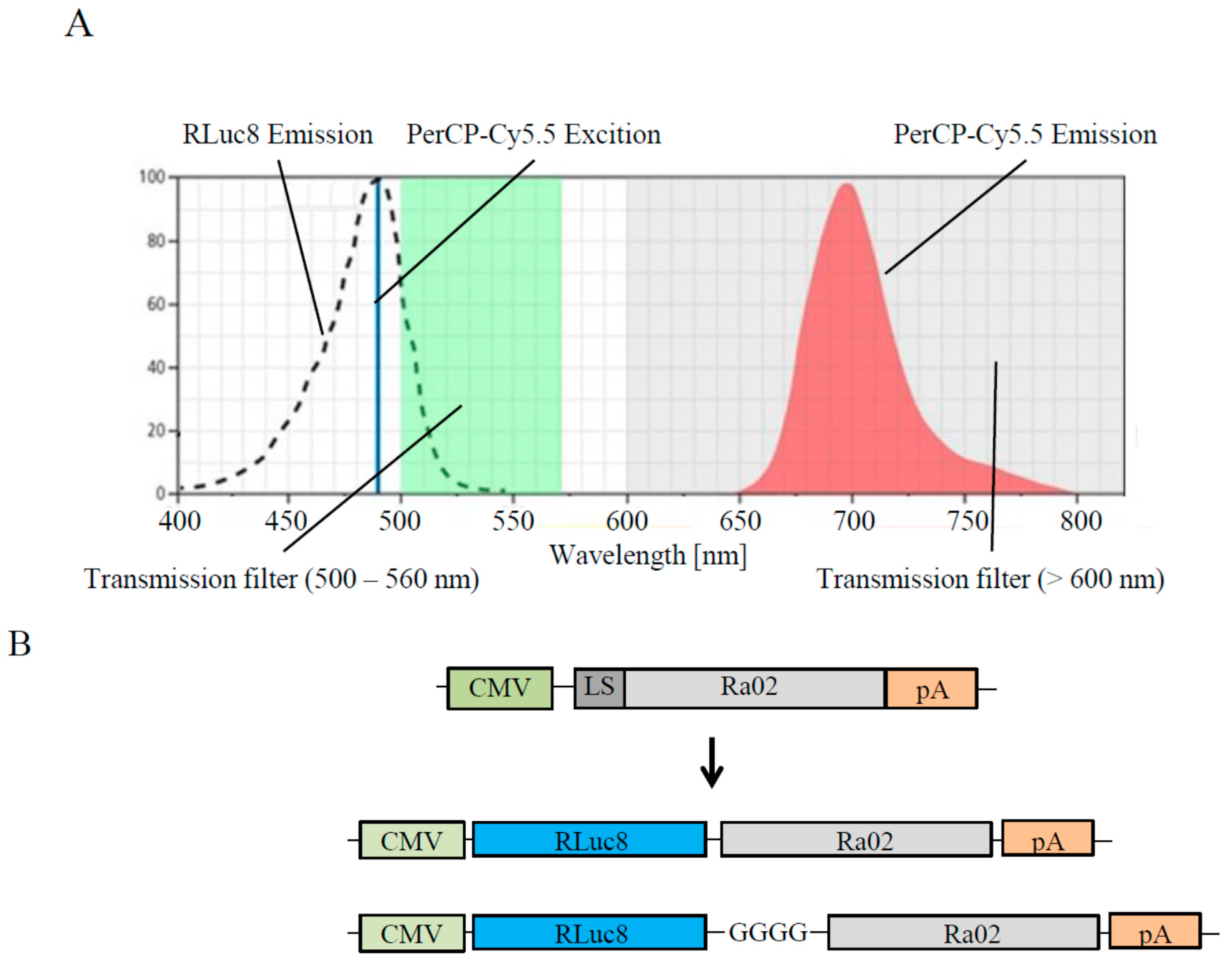 Sensors 17 00145 g001