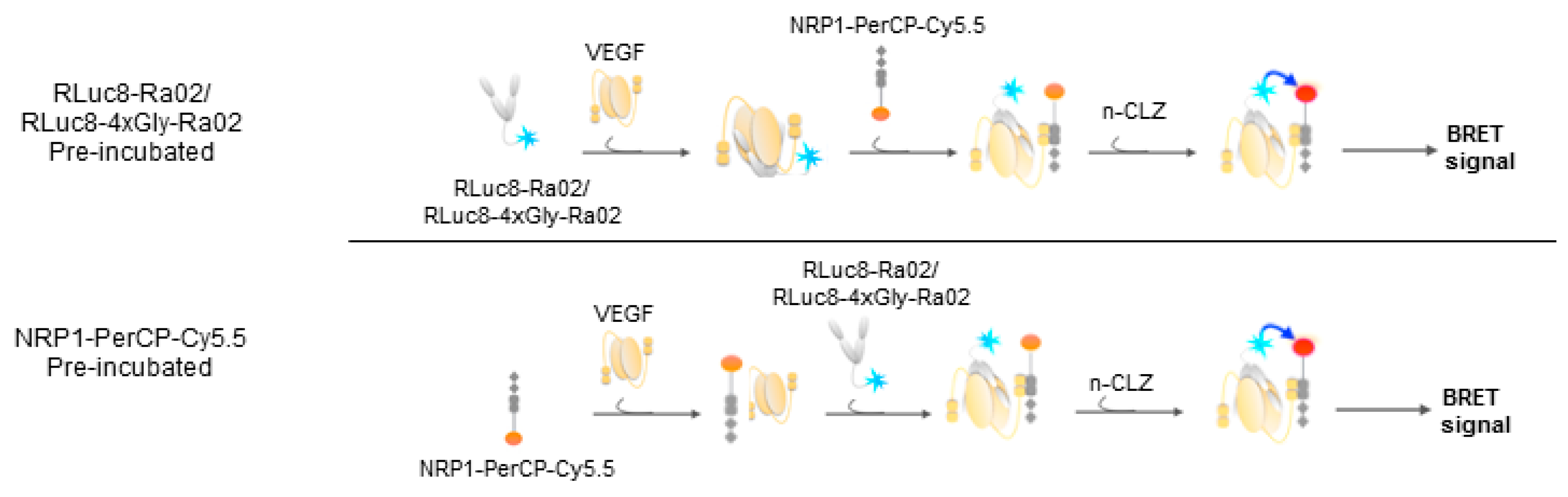 Sensors 17 00145 sch002