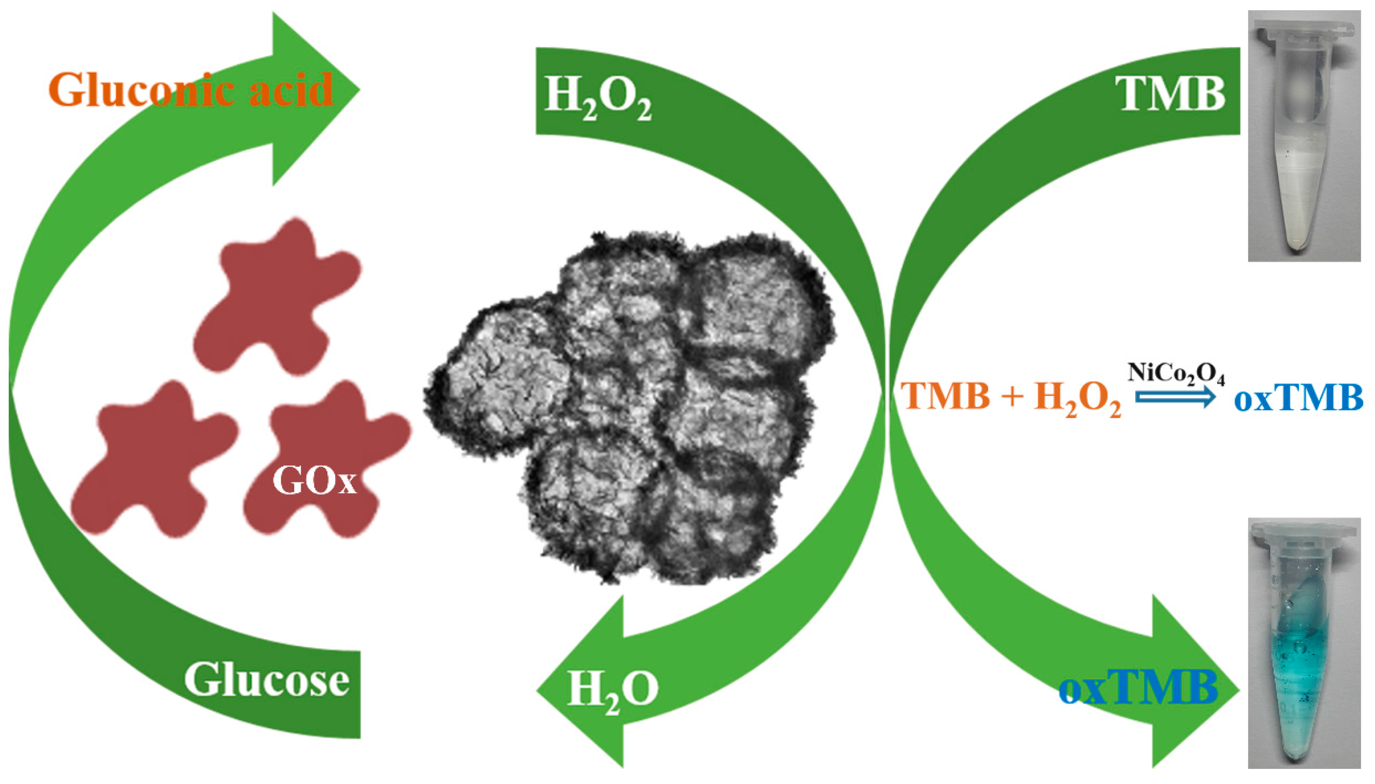Sensors 17 00217 g008