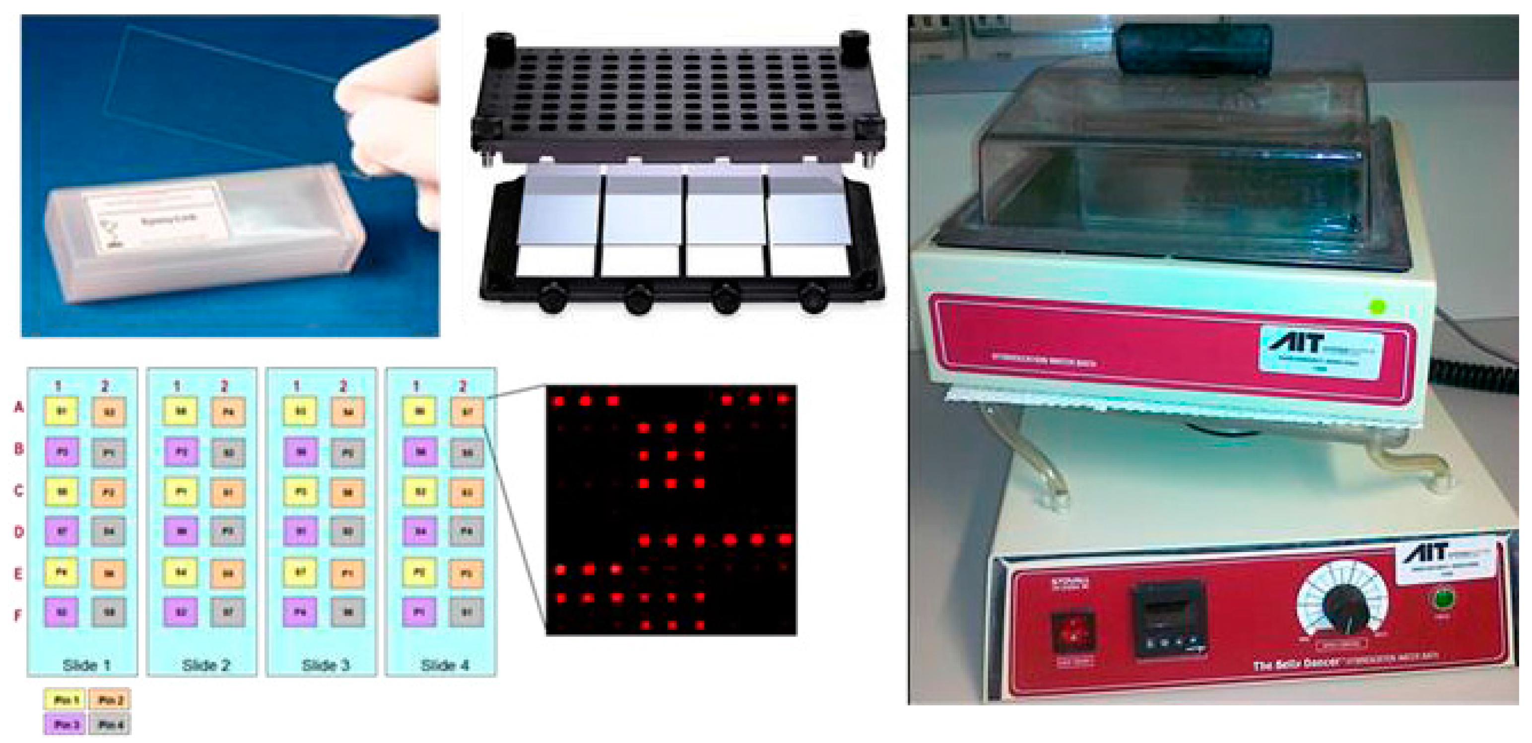 Sensors 17 00256 g006