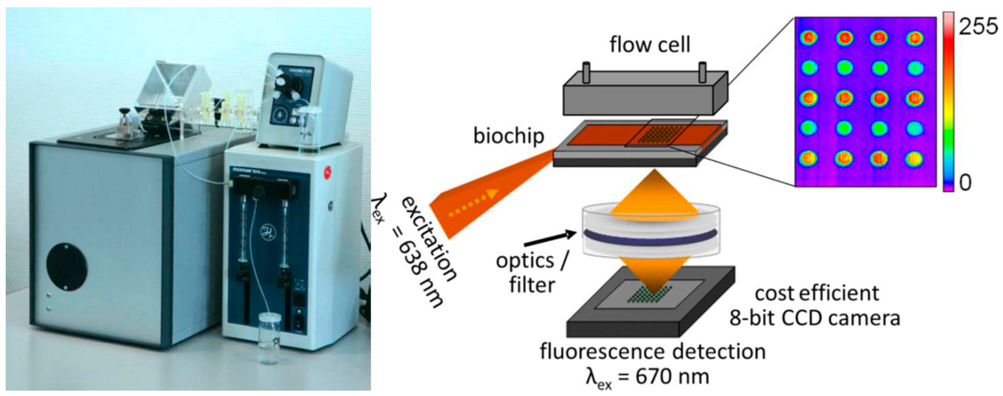 Sensors 17 00256 g008