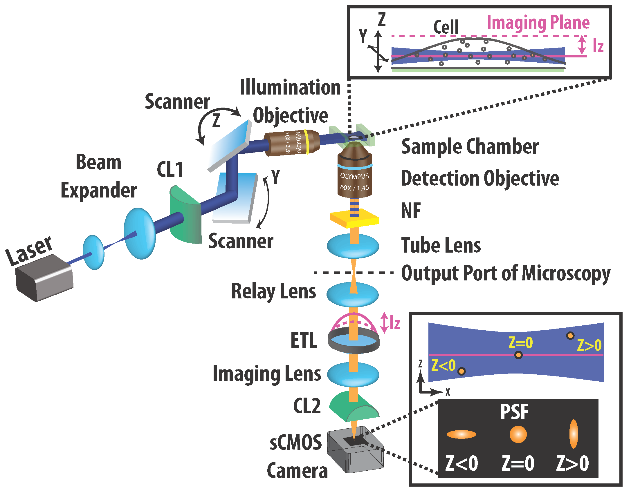 Sensors 17 00315 g001