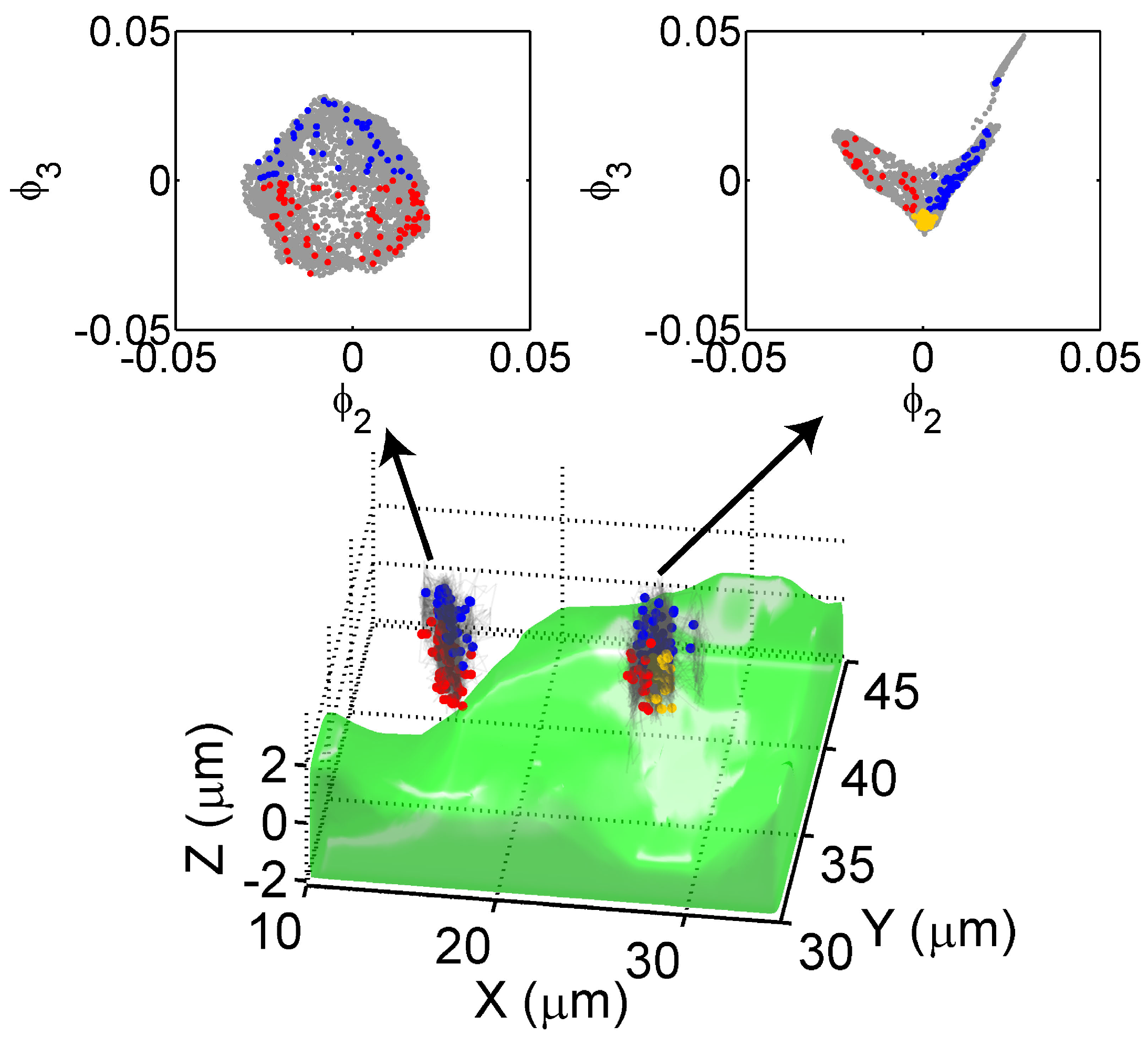 Sensors 17 00315 g006