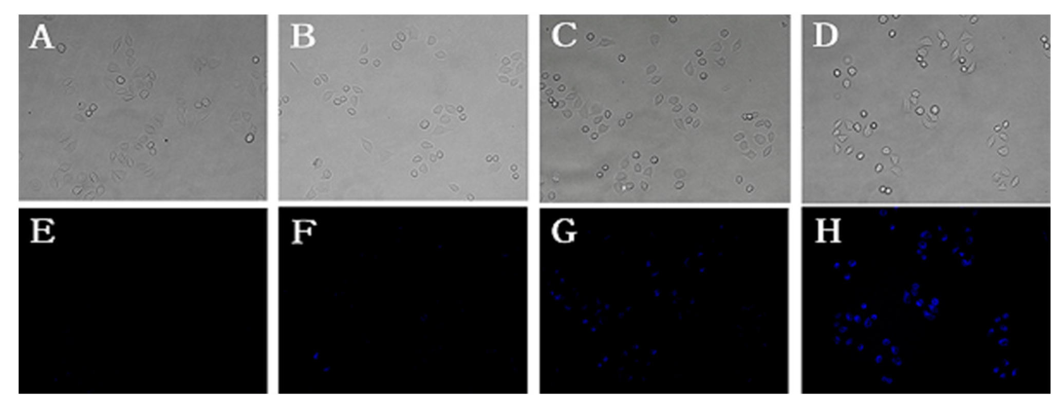 Sensors 17 00405 g006