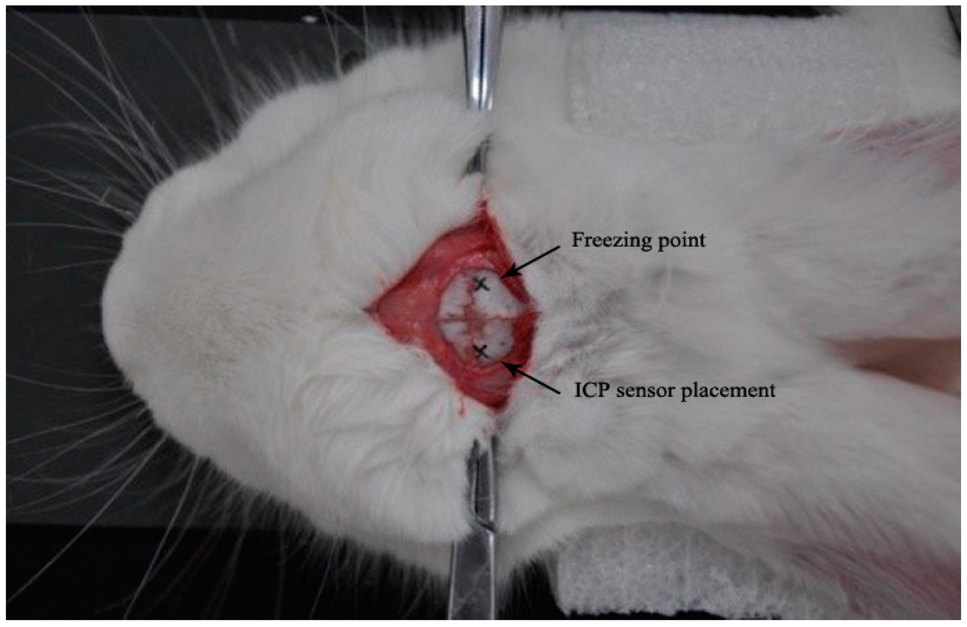 Sensors 17 00537 g003