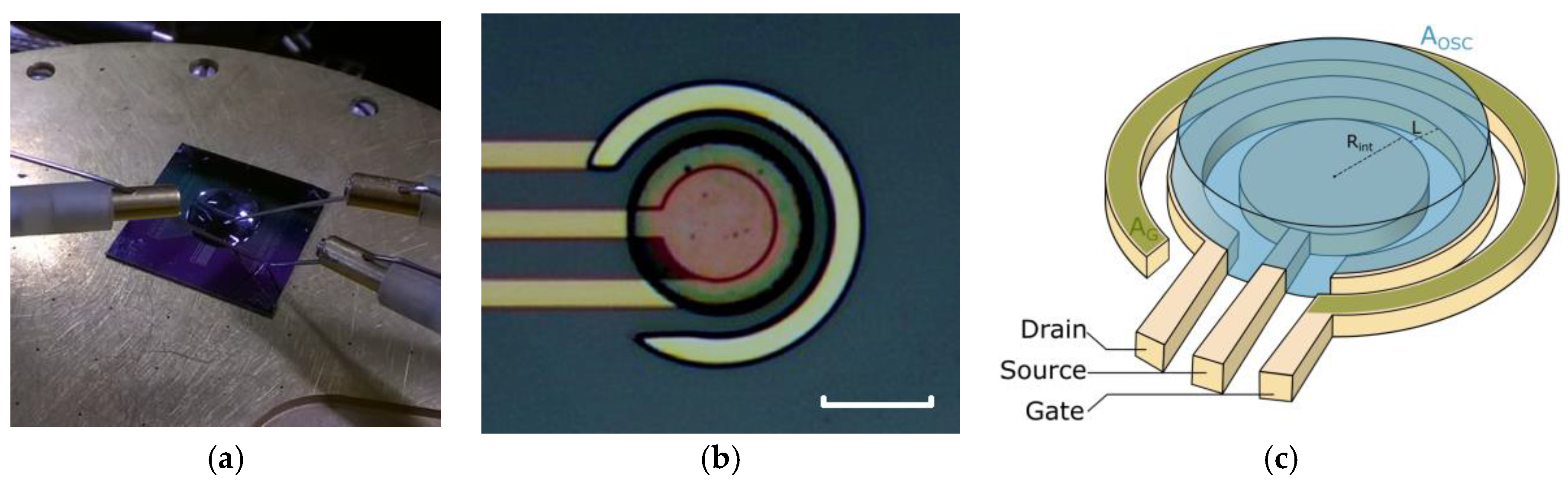 Sensors 17 00570 g001a