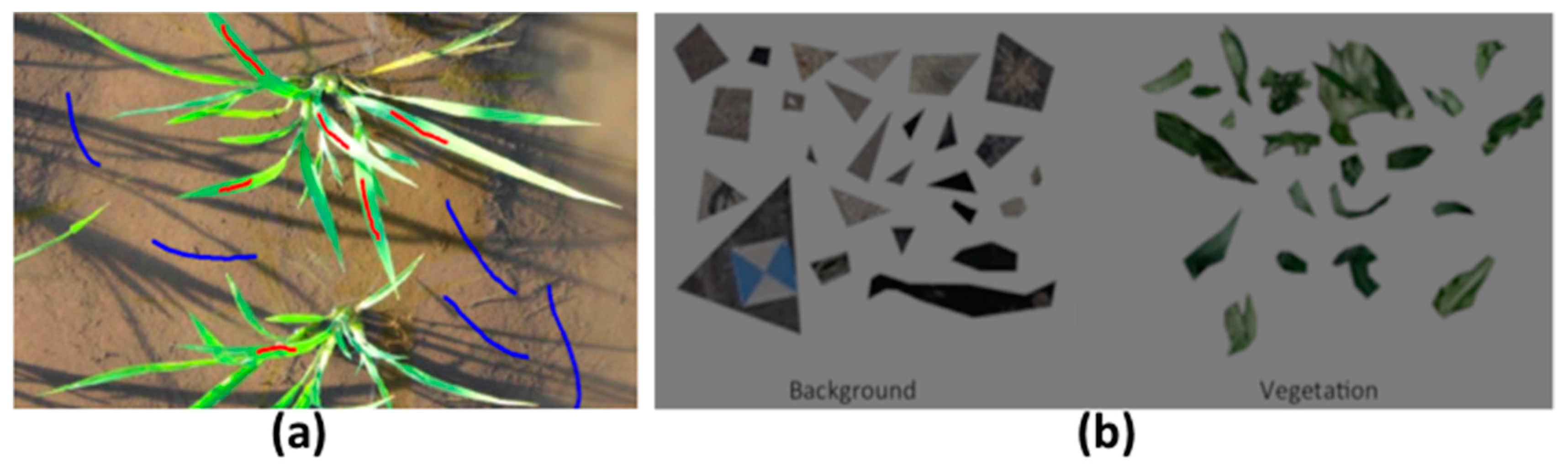 Sensors 17 00798 g002