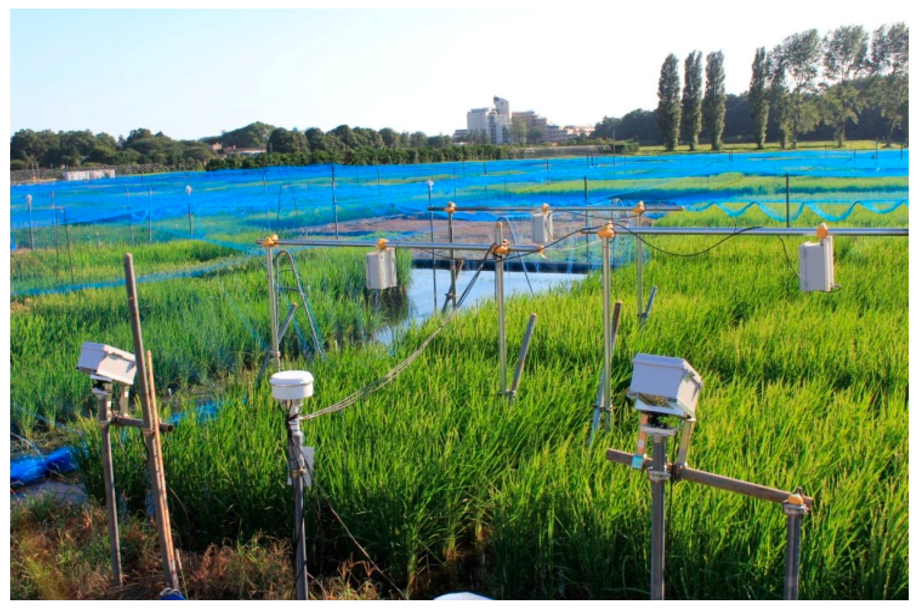 Sensors 17 00798 g004