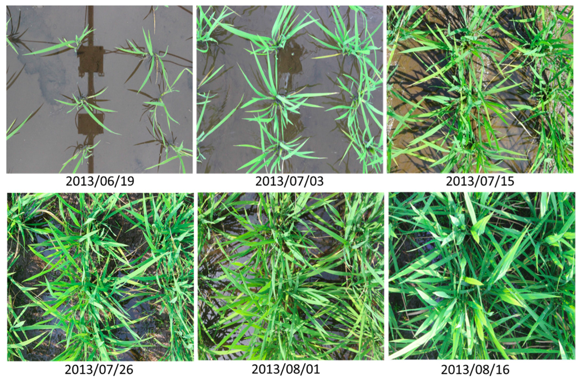 Sensors 17 00798 g005