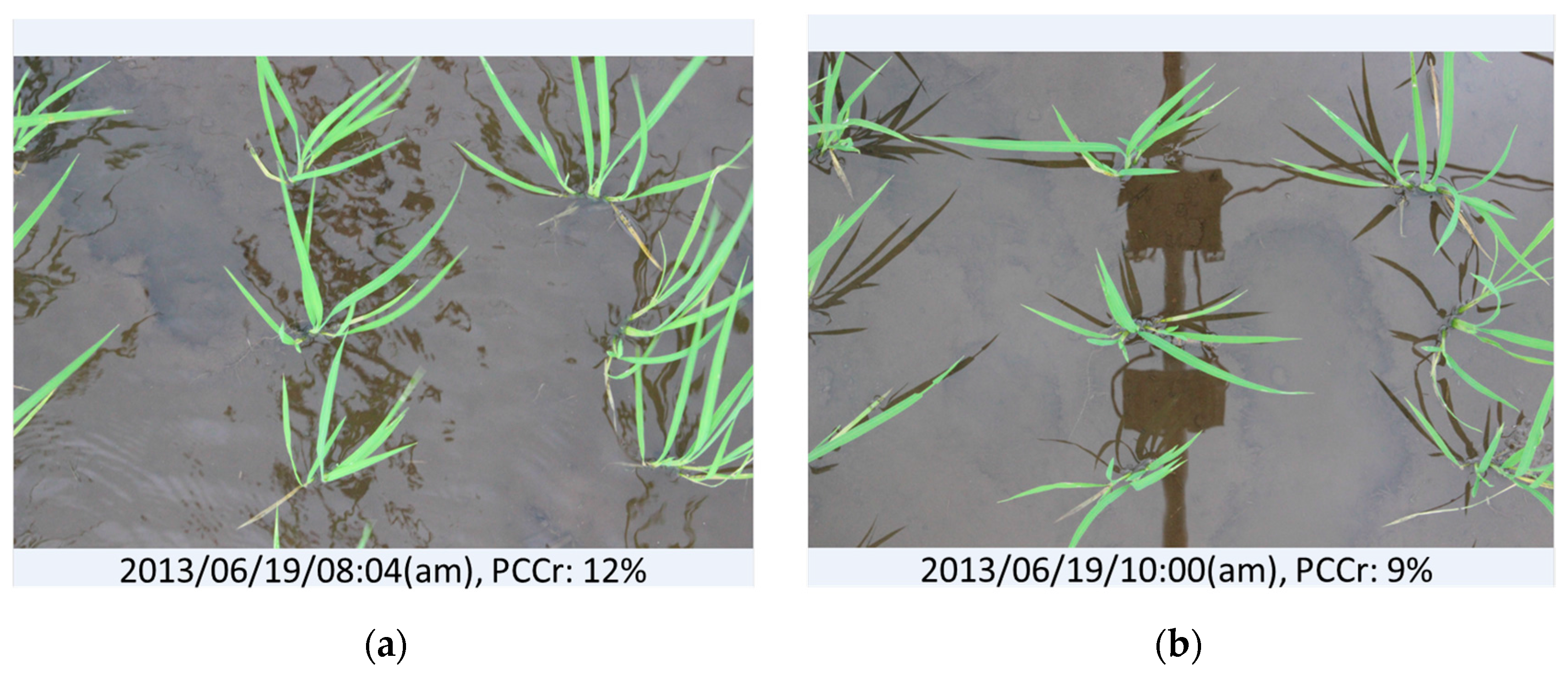 Sensors 17 00798 g008