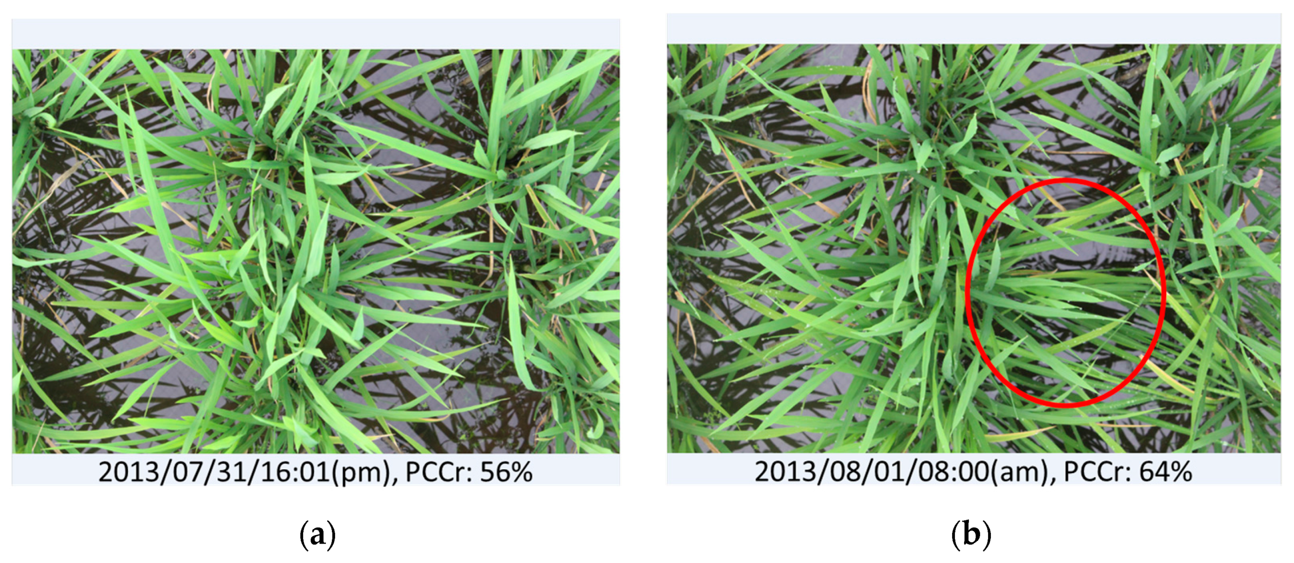 Sensors 17 00798 g009