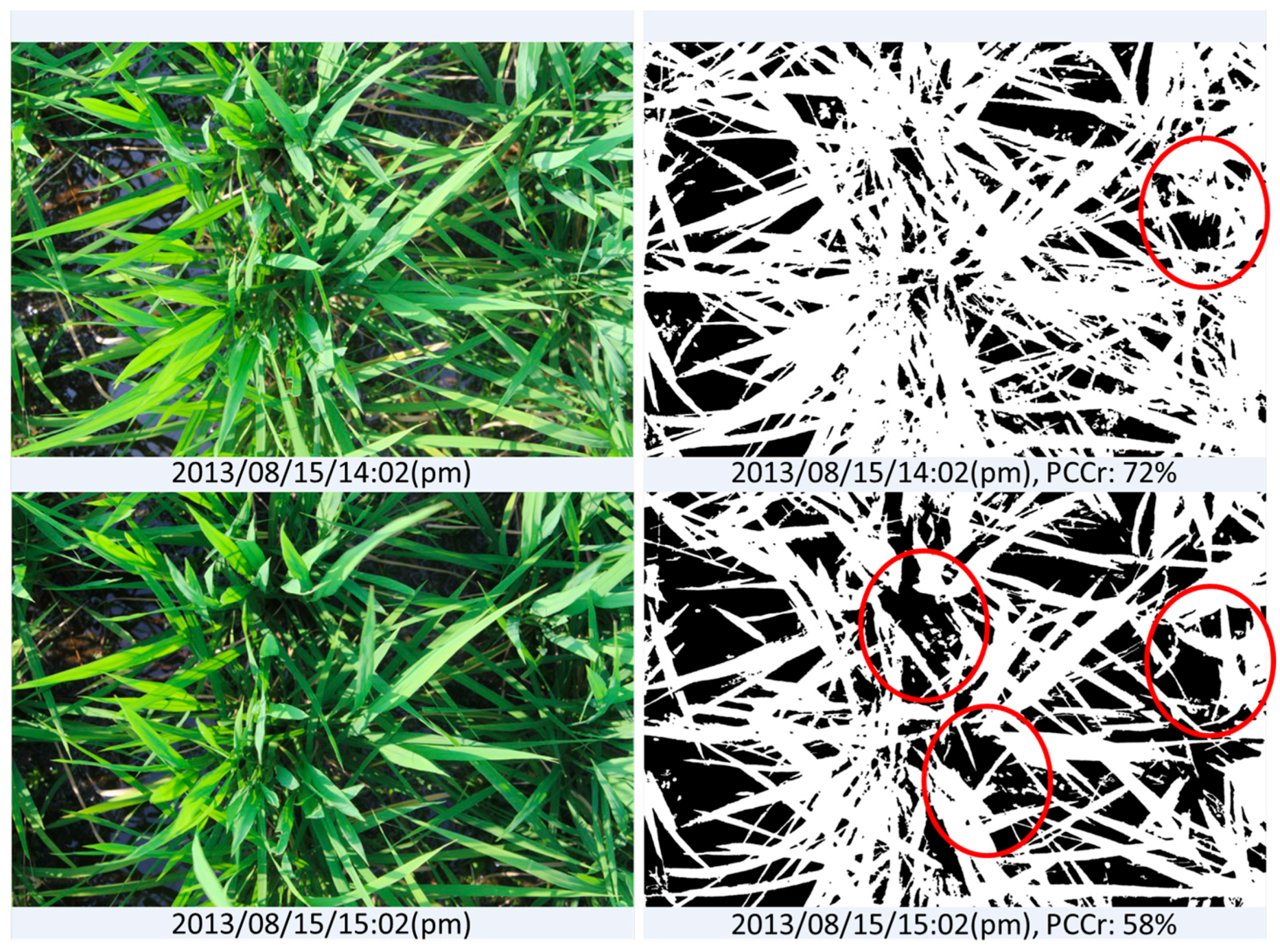 Sensors 17 00798 g010