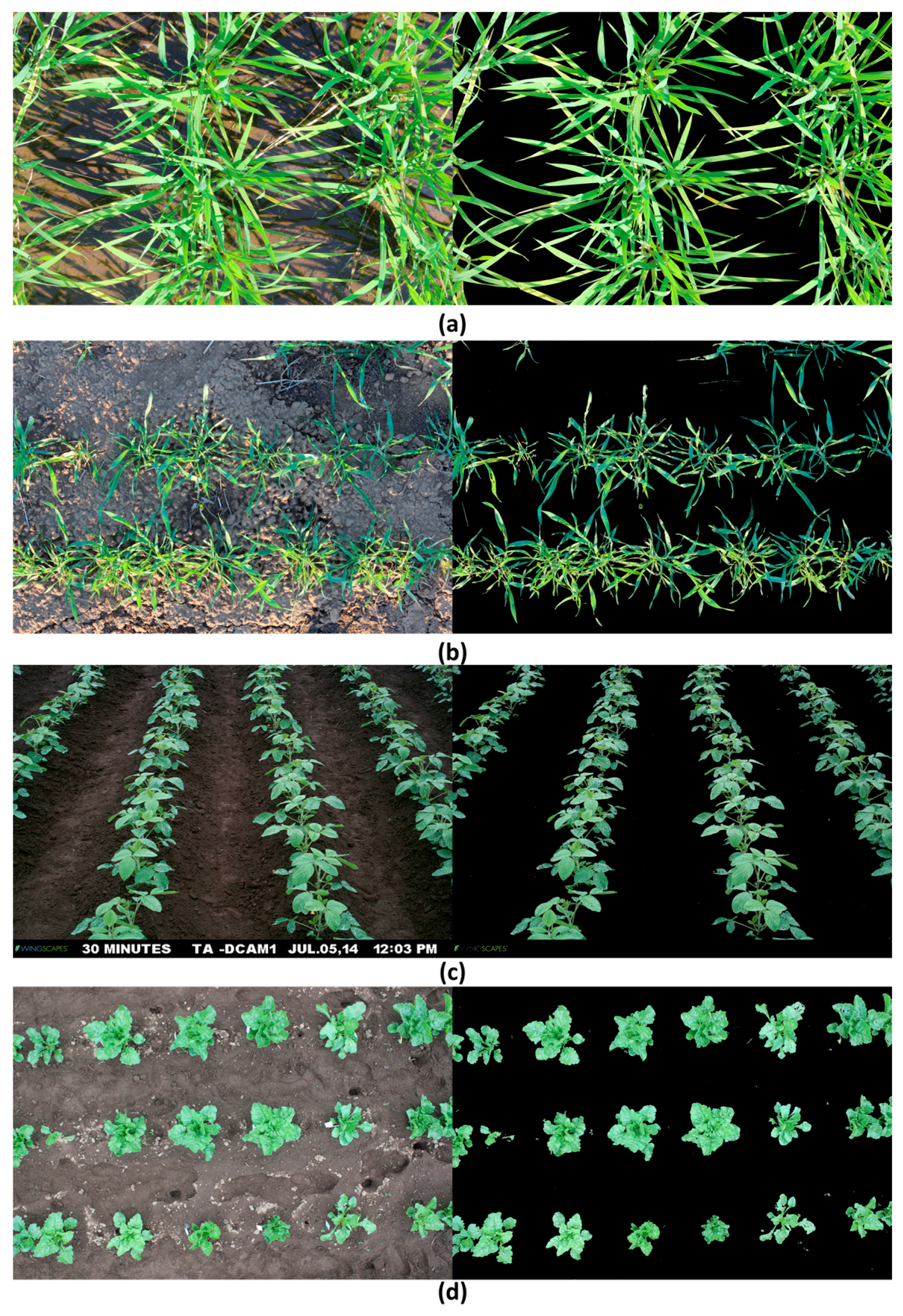 Sensors 17 00798 g014