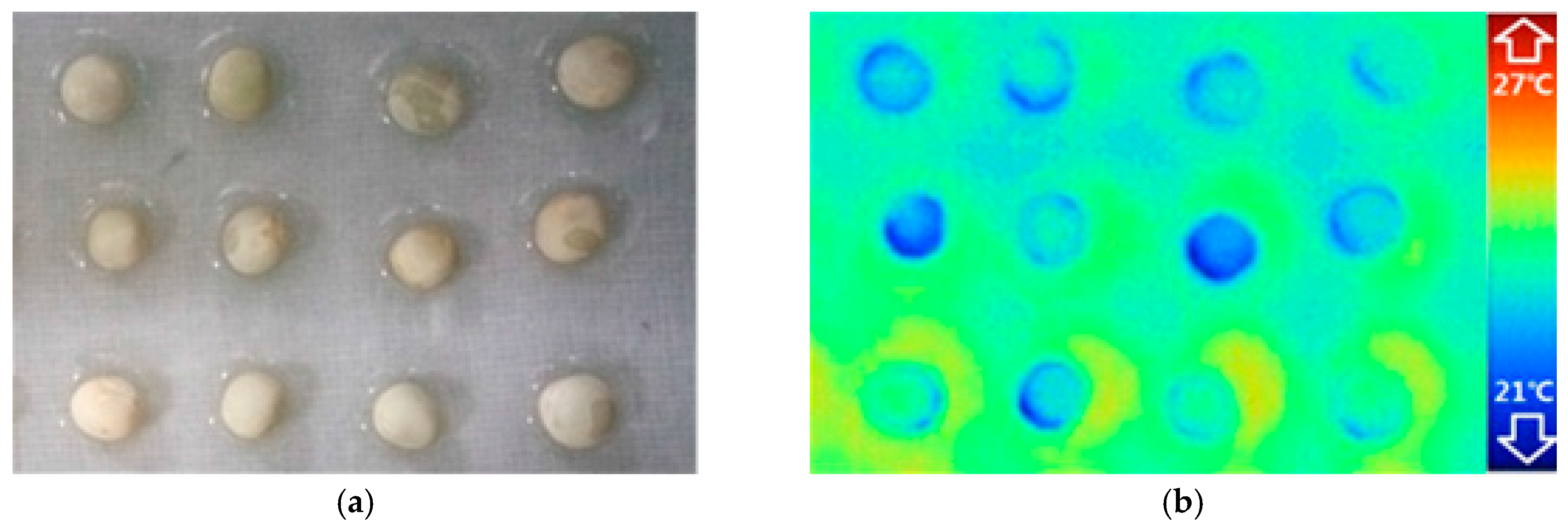 Sensors 17 00845 g001