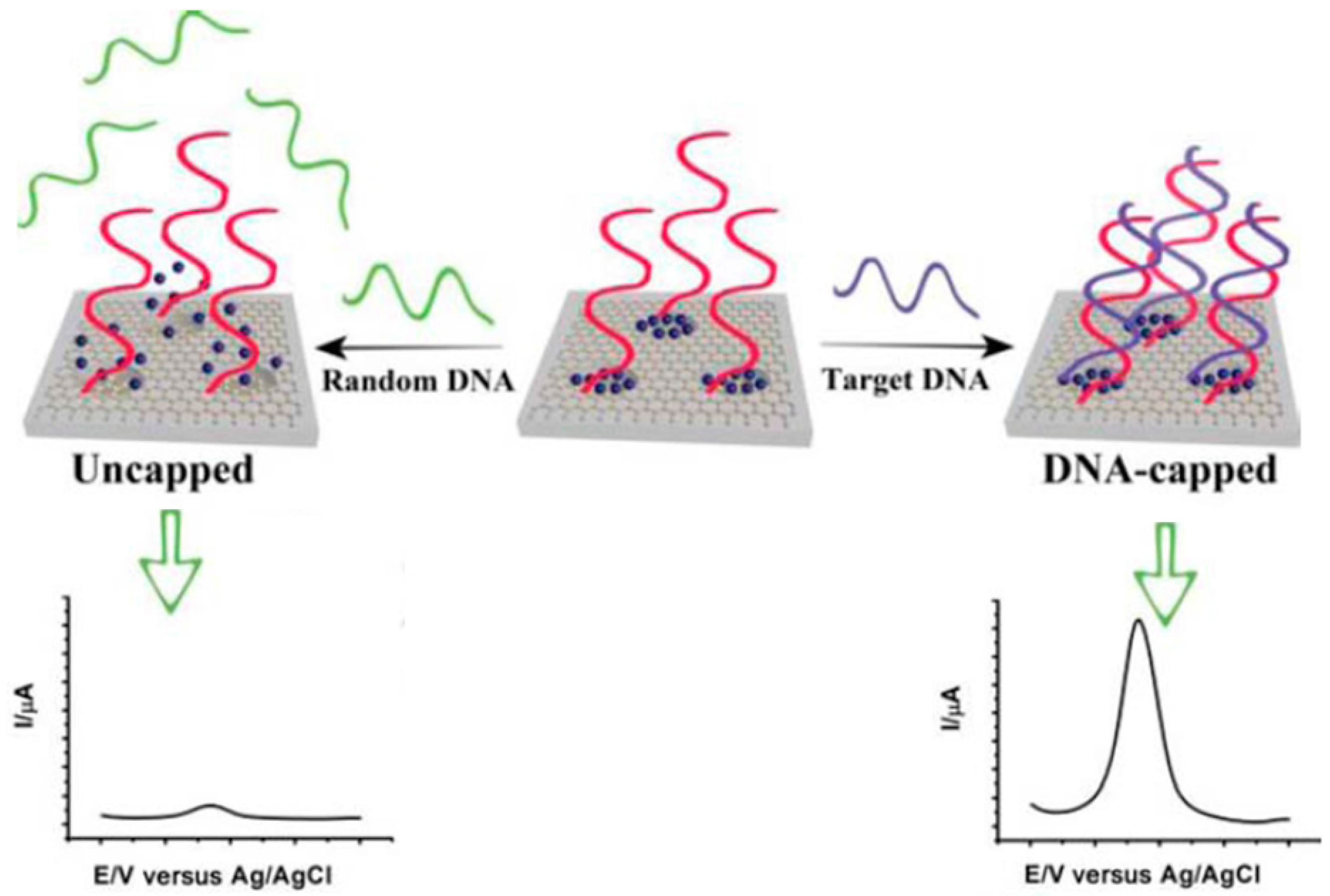 Sensors 17 00866 g002
