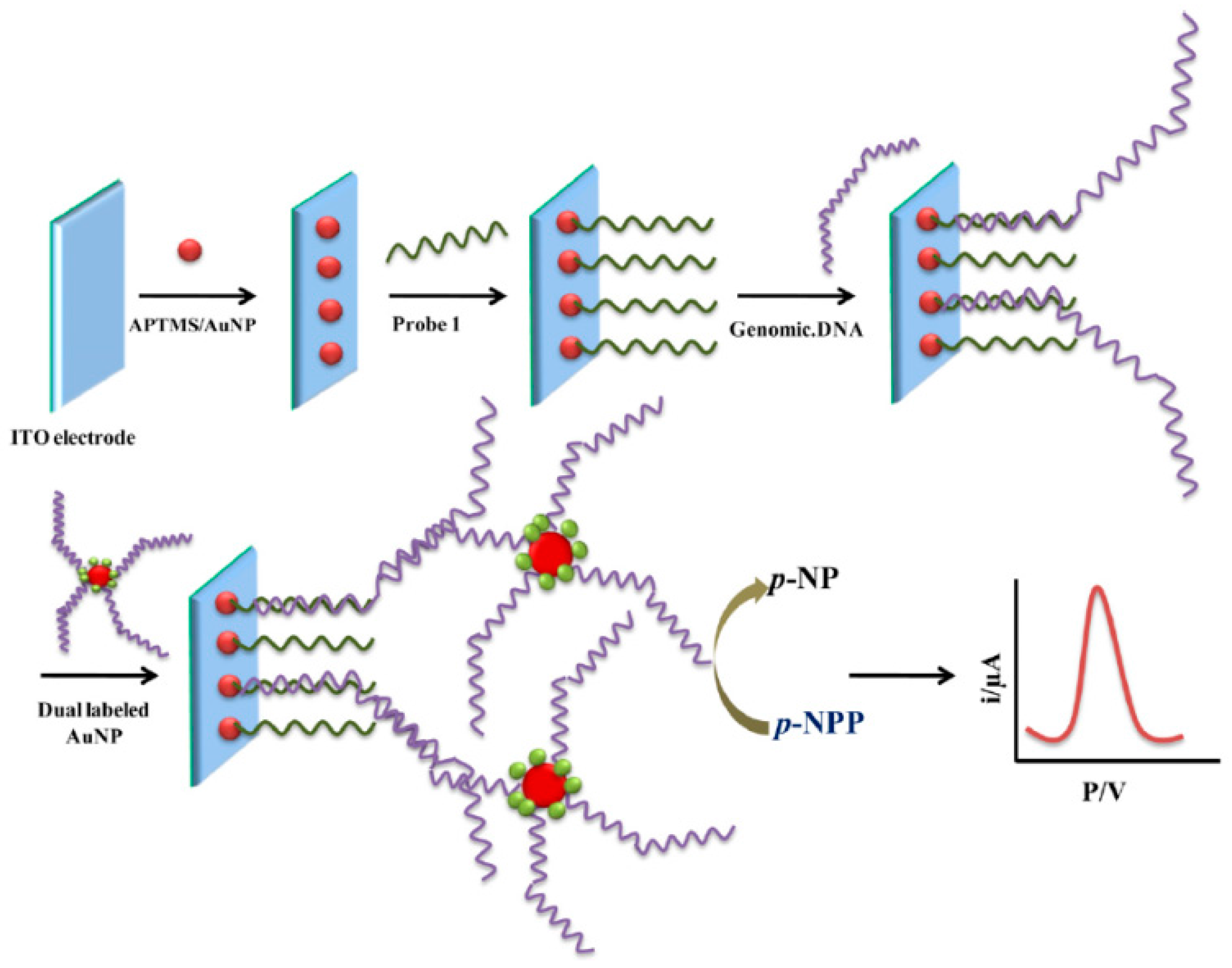 Sensors 17 00866 g005