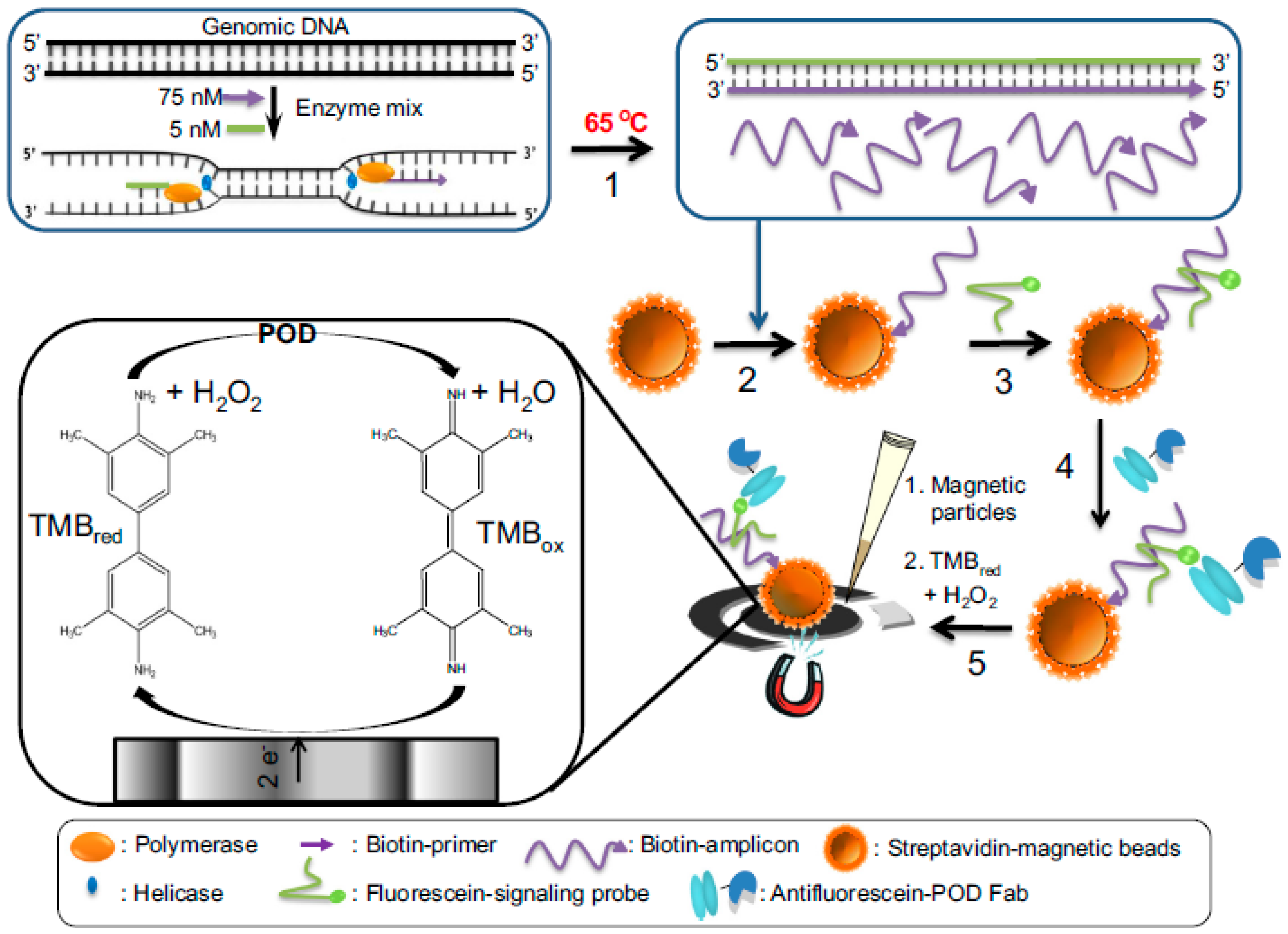 Sensors 17 00866 g006