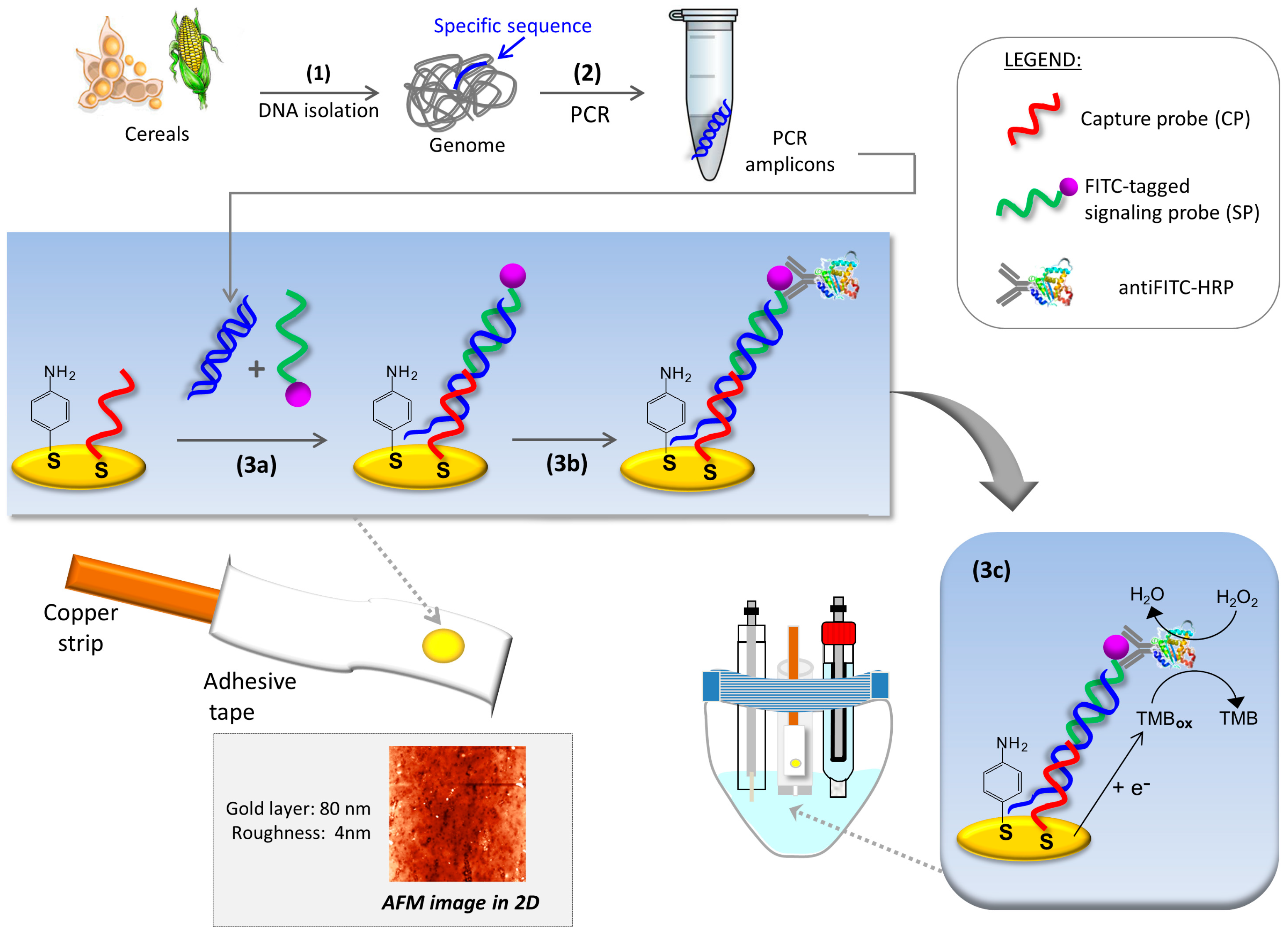 Sensors 17 00881 g001