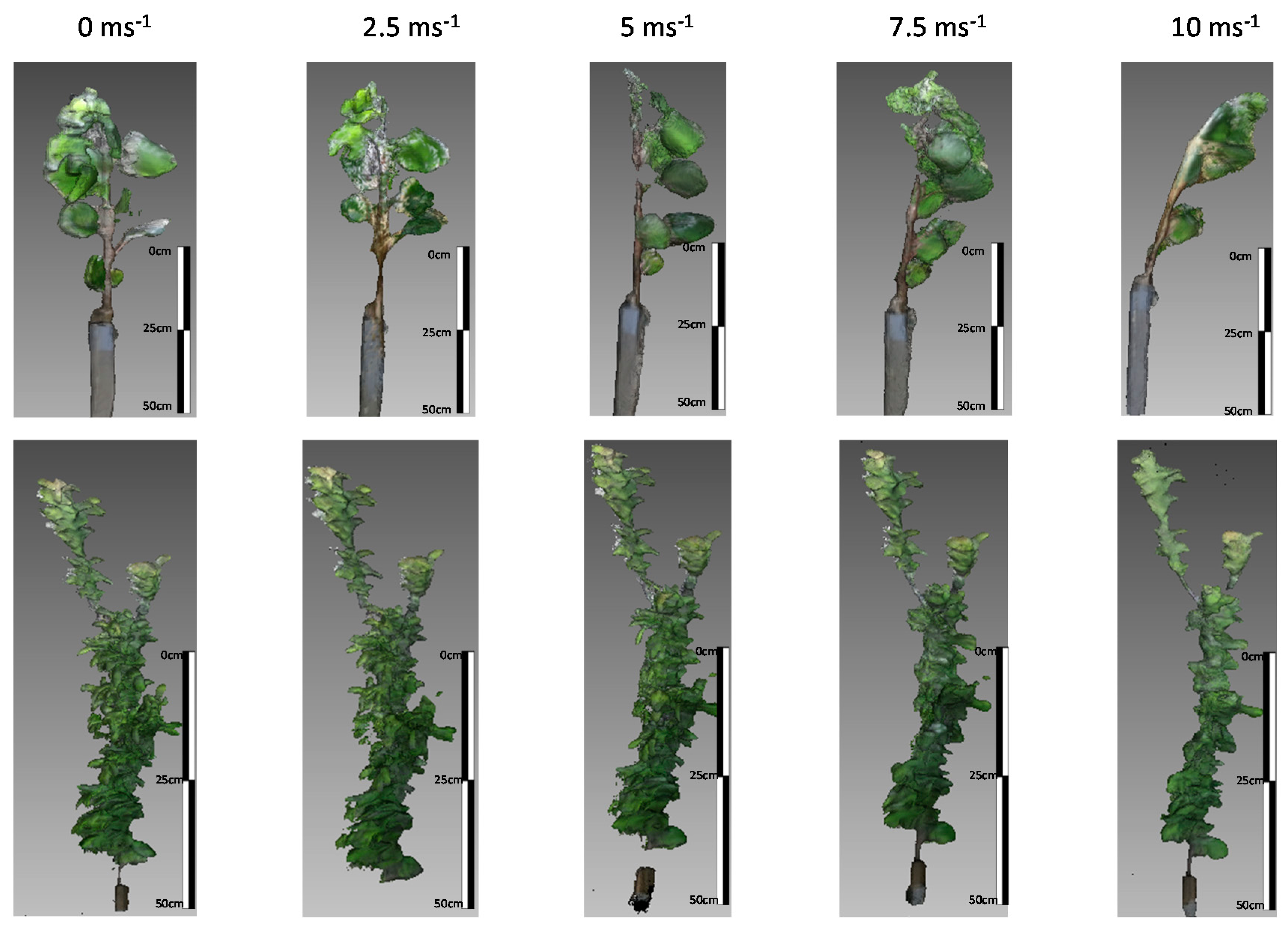 Sensors 17 00914 g003