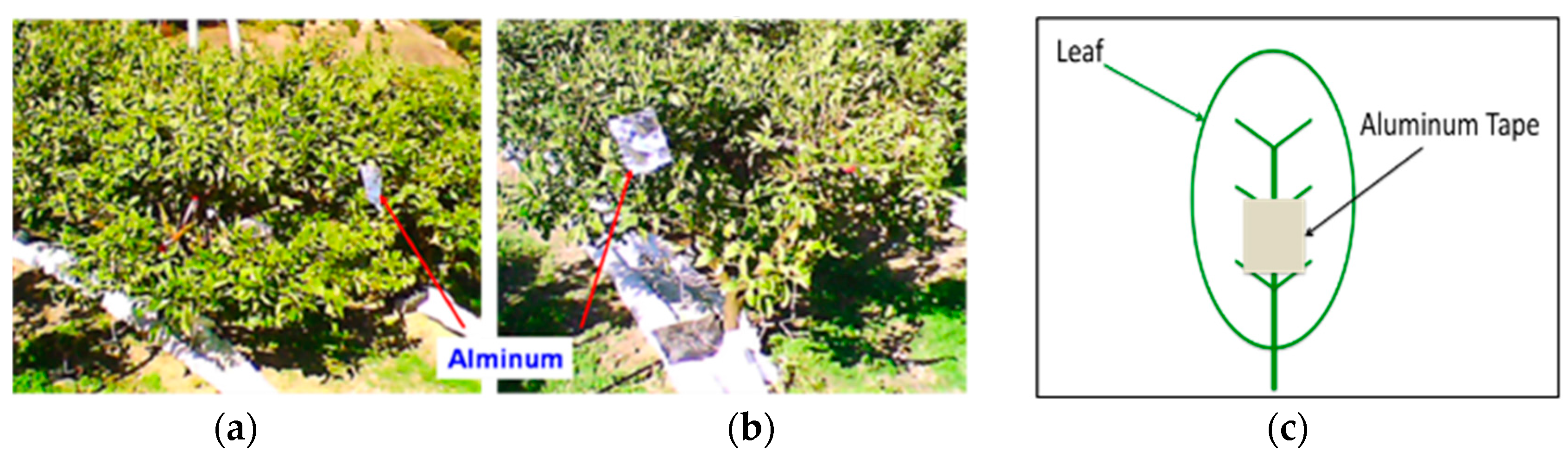 Sensors 17 00966 g001