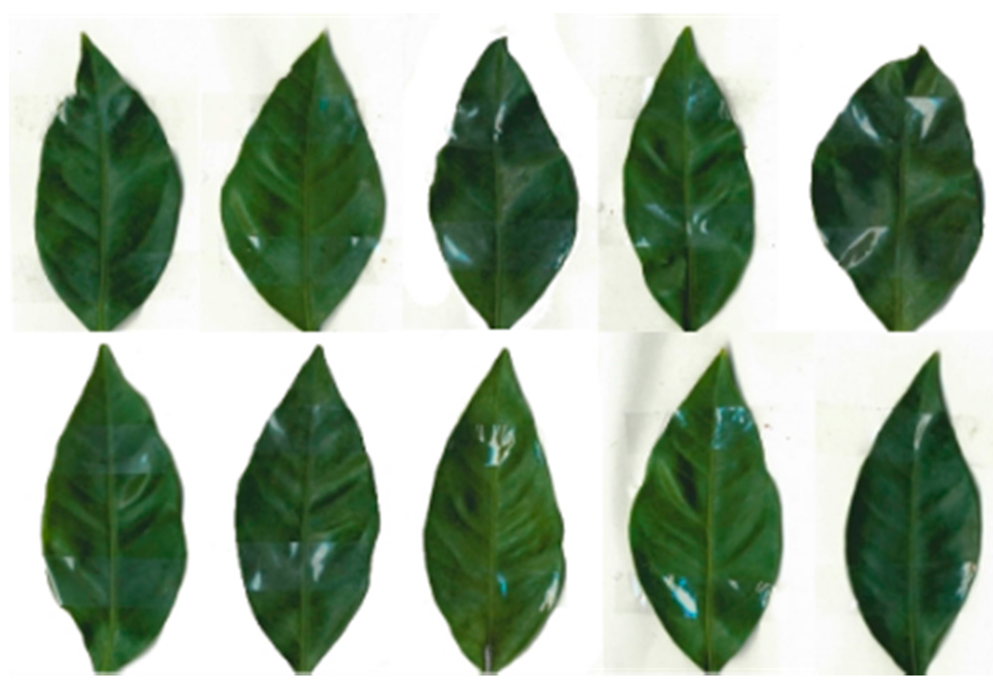 Sensors 17 00966 g003