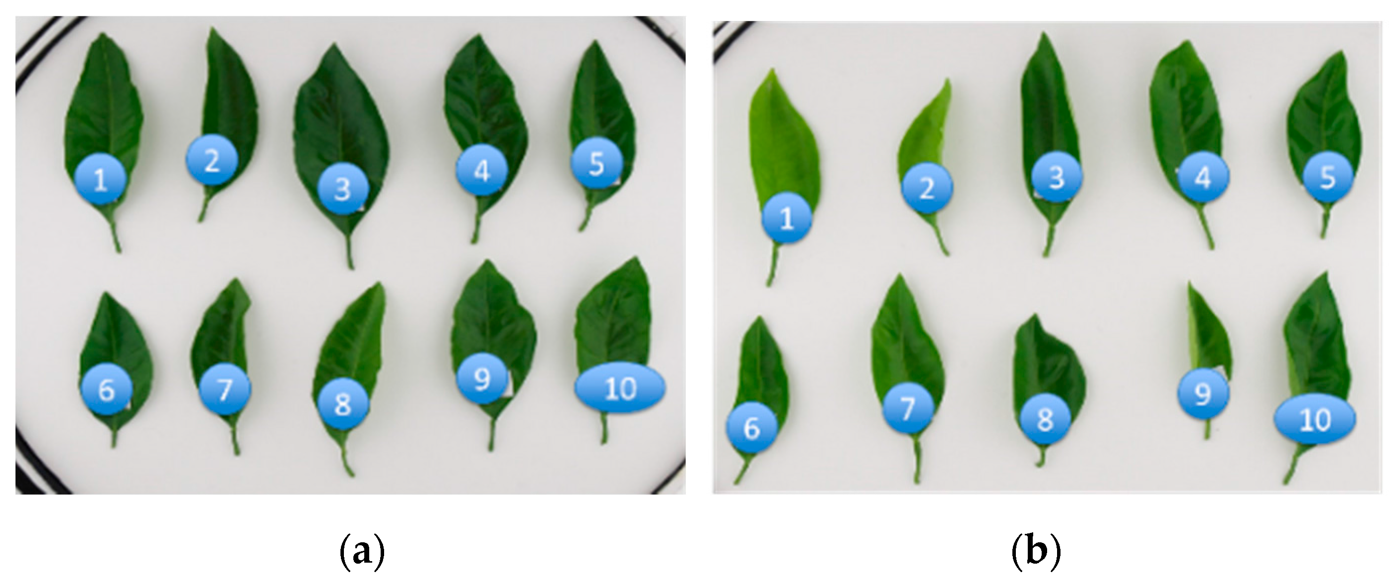 Sensors 17 00966 g004