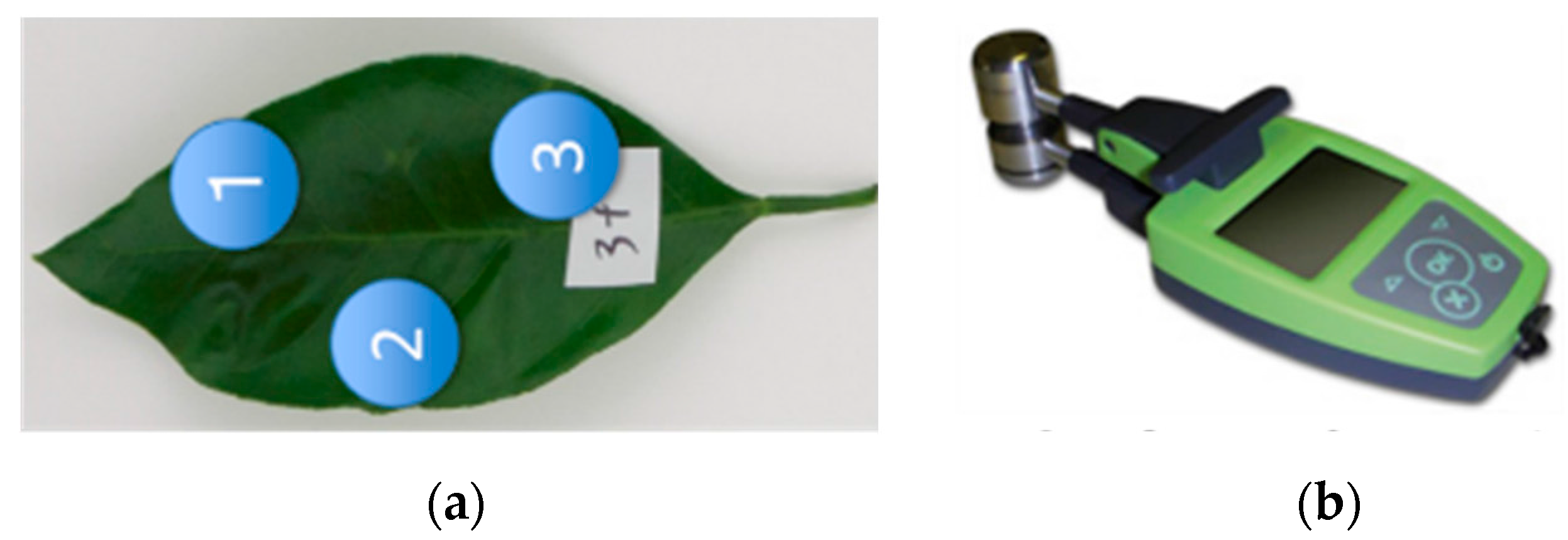 Sensors 17 00966 g005