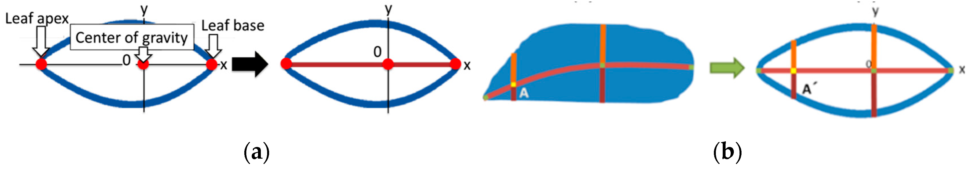 Sensors 17 00966 g017