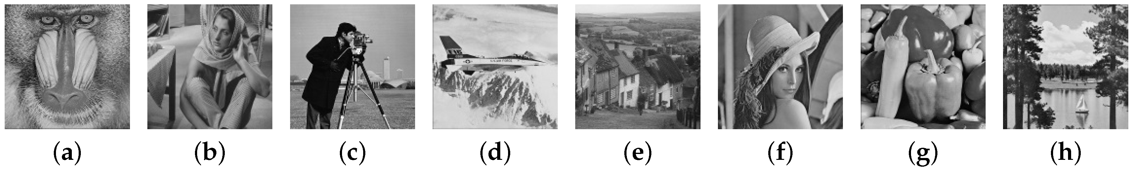 Sensors 17 00981 g006