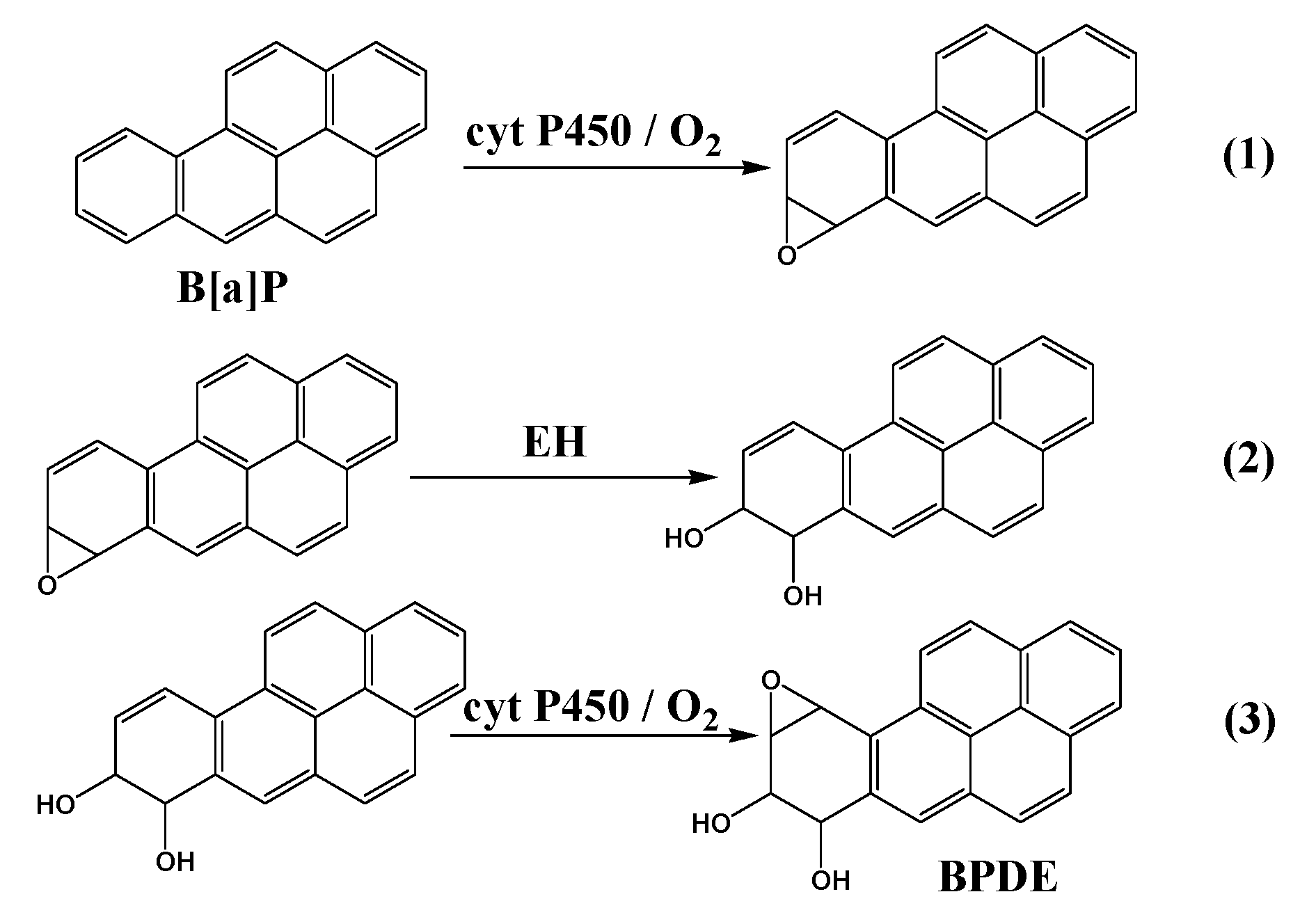 Sensors 17 01008 sch005