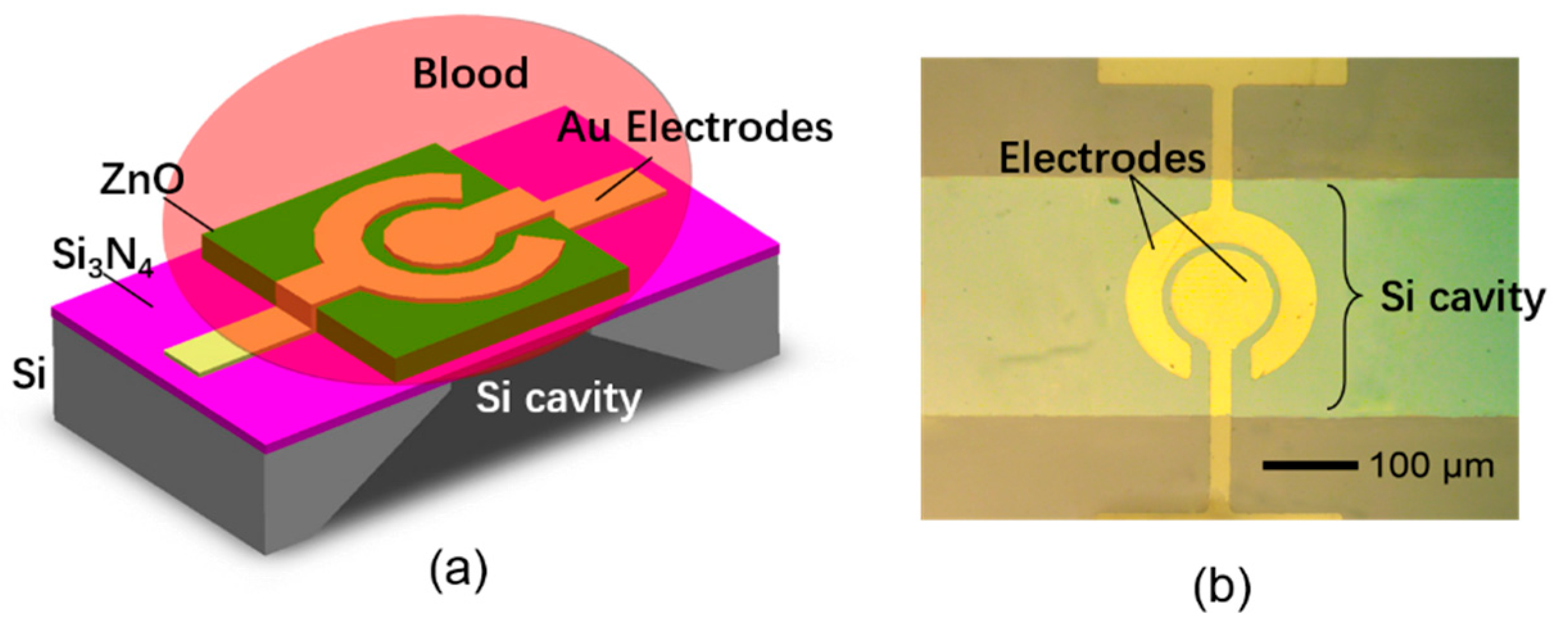 Sensors 17 01015 g001