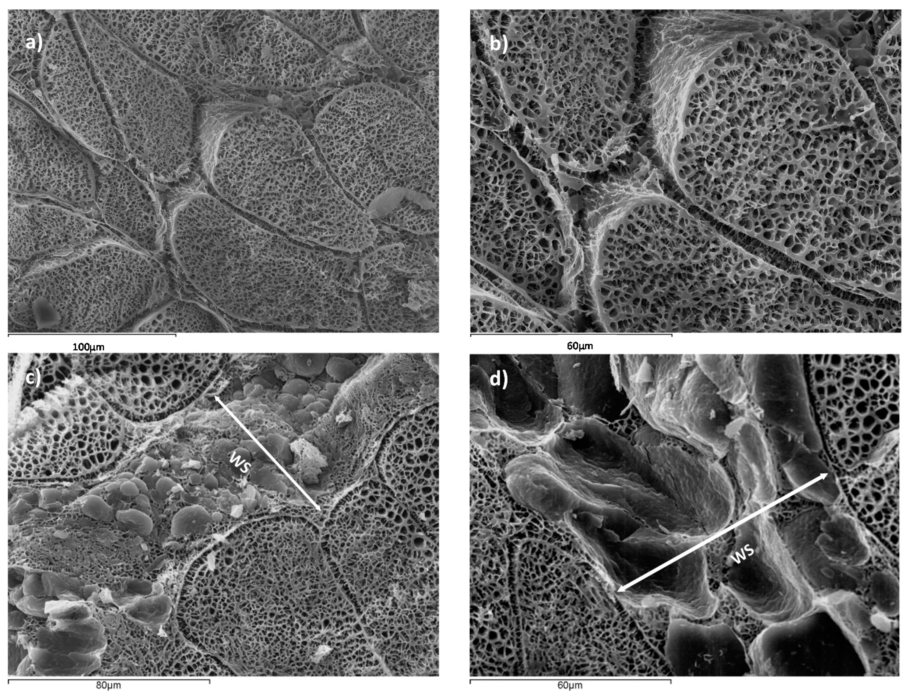 Sensors 17 01024 g002