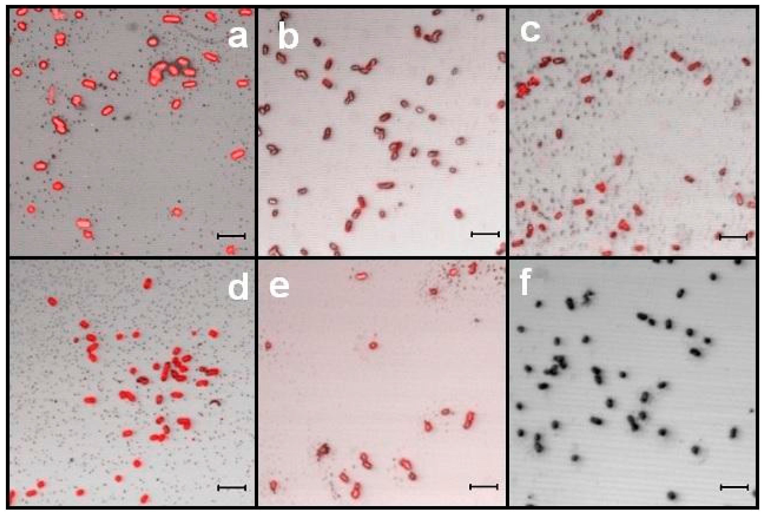 Sensors 17 01025 g004