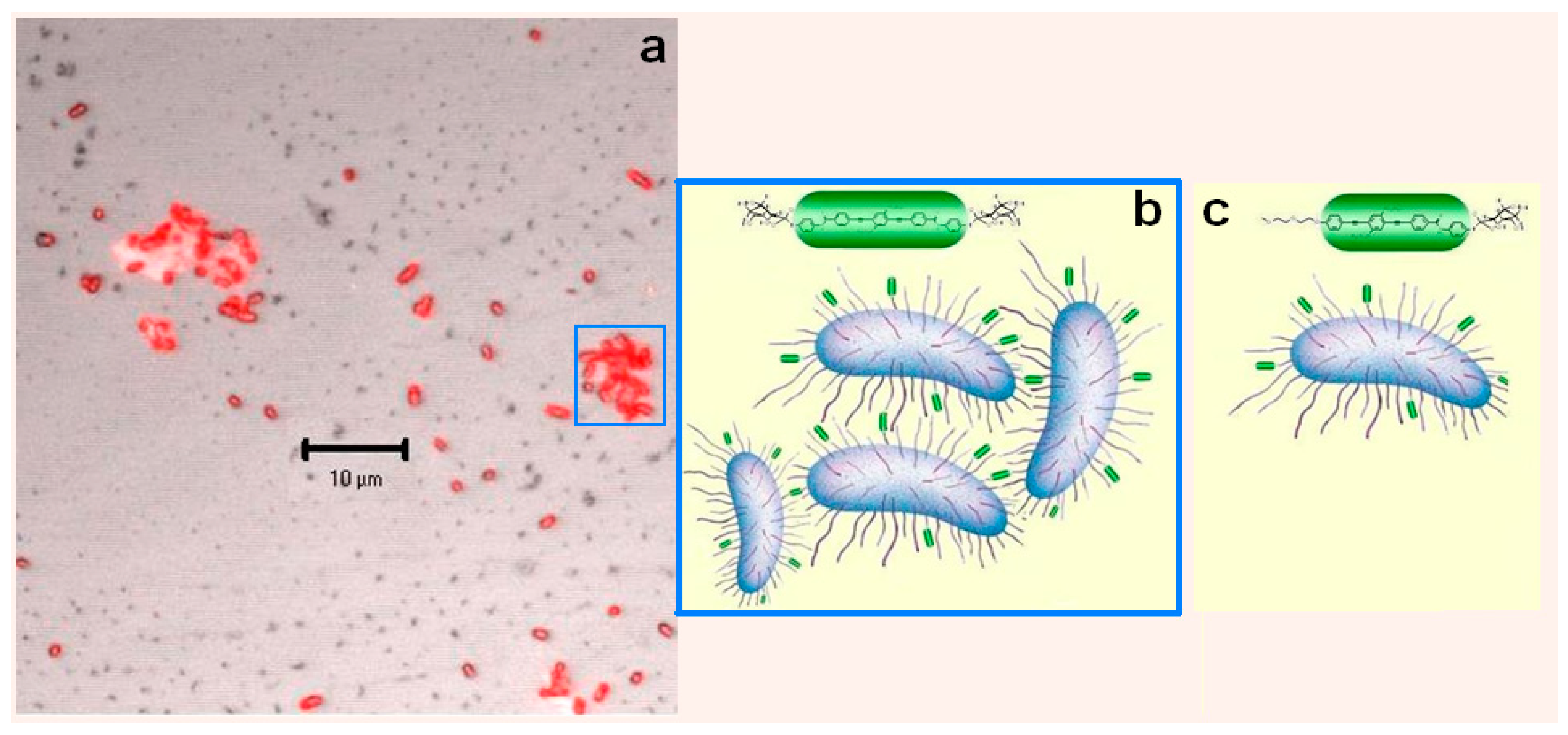 Sensors 17 01025 g005