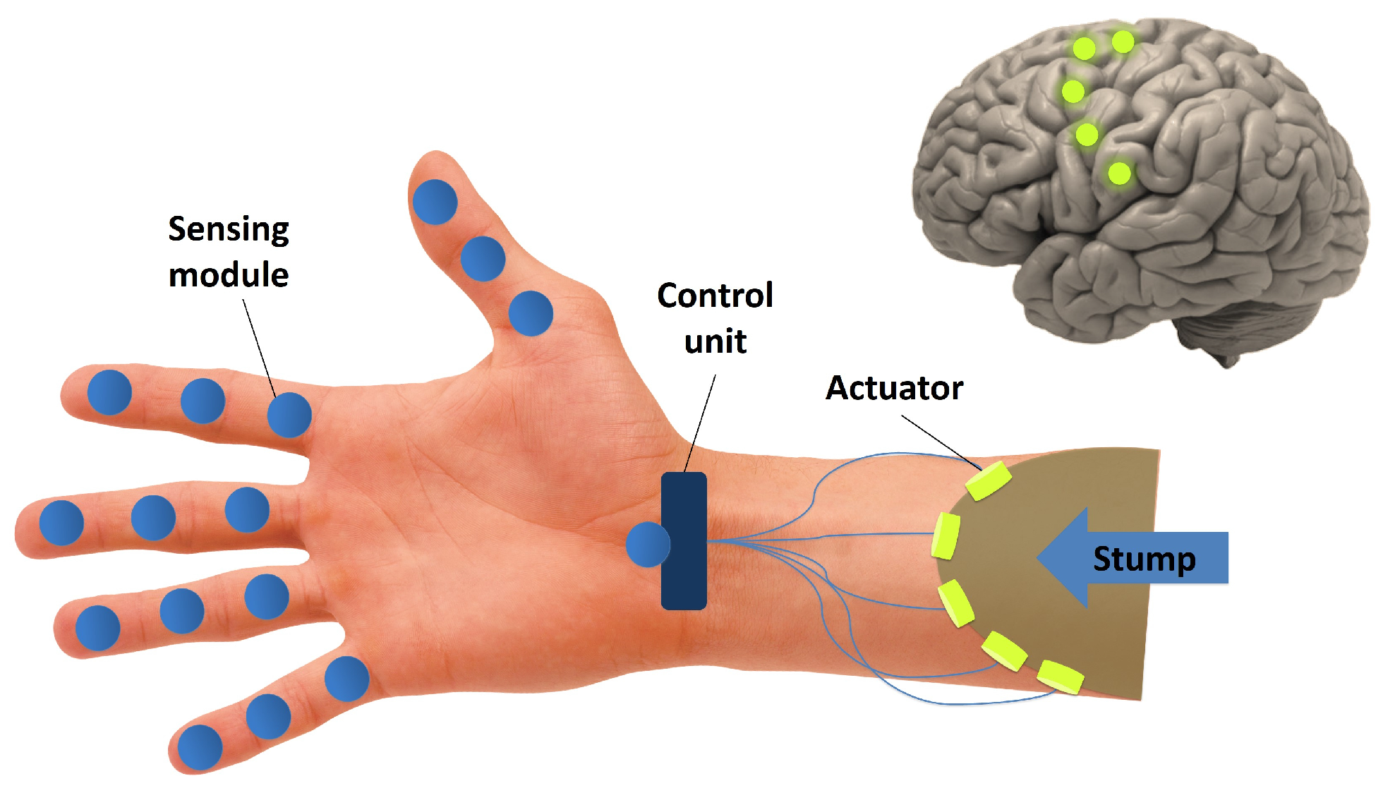 Sensors 17 01043 g001