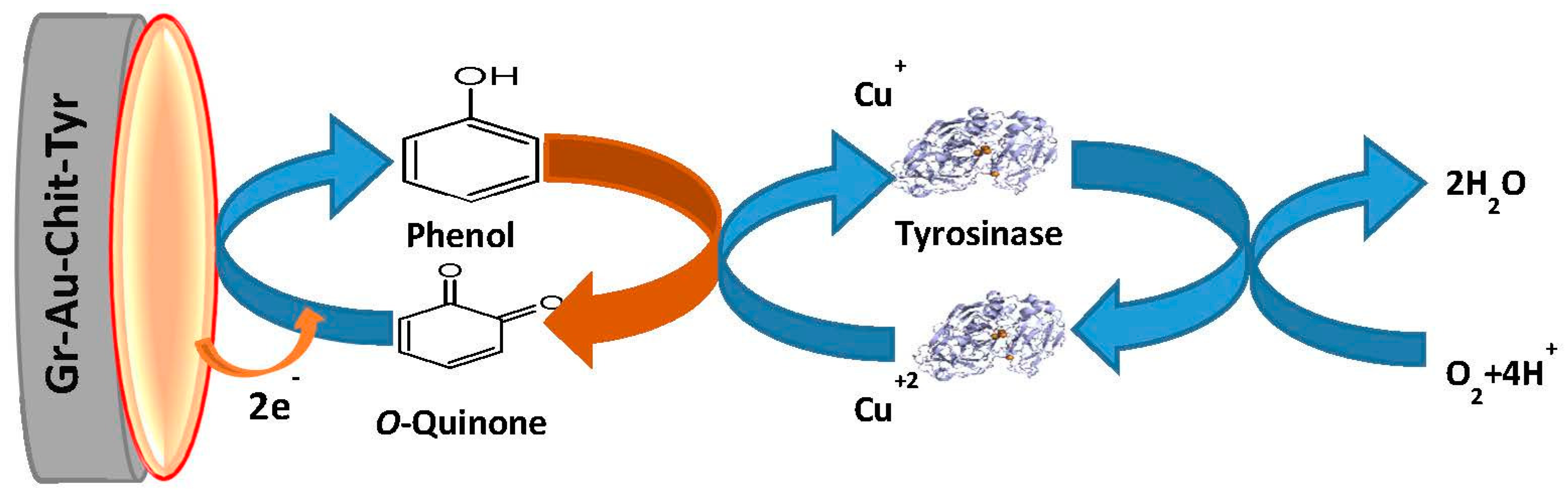 Sensors 17 01132 sch002
