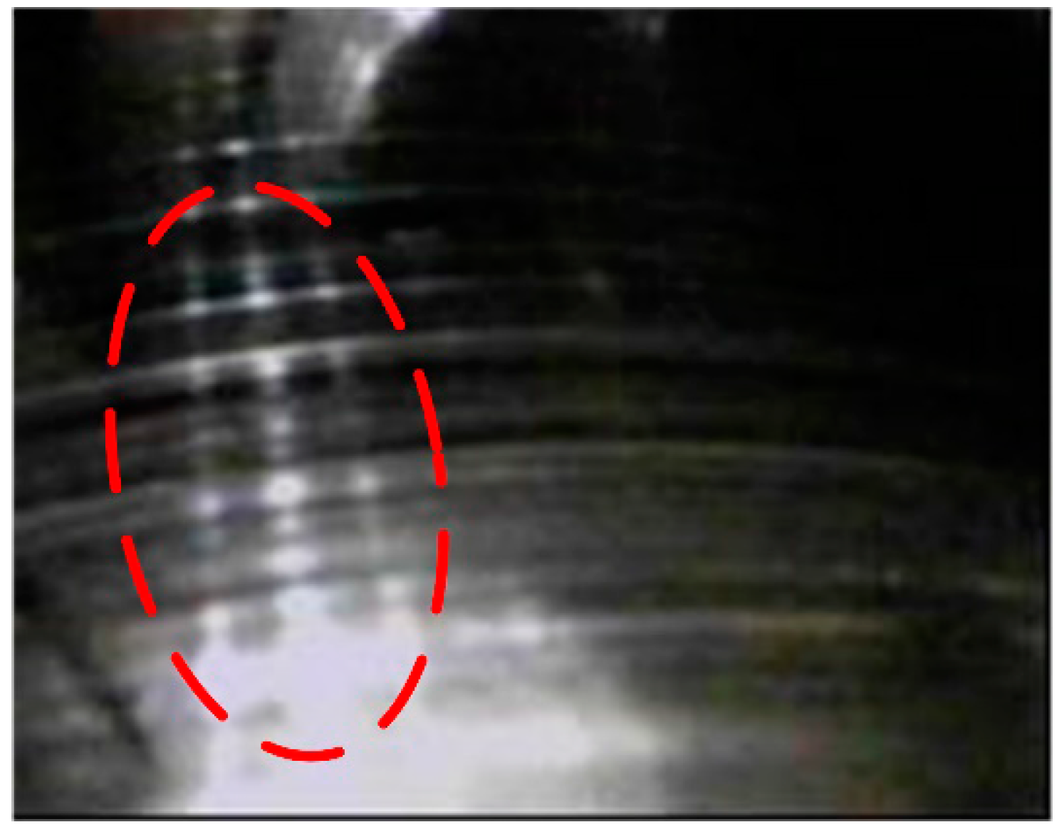 Sensors 17 01149 g013